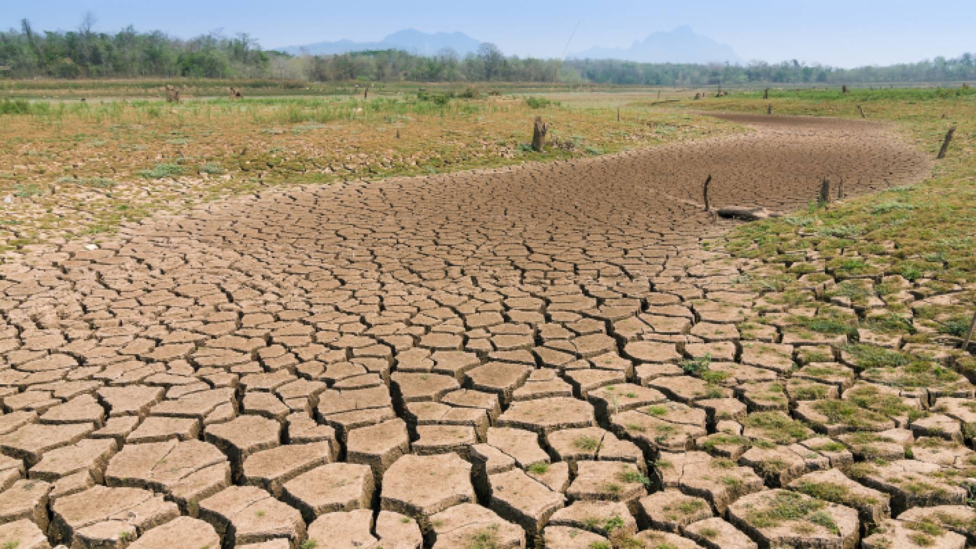 أرض جافة - تعبيرية