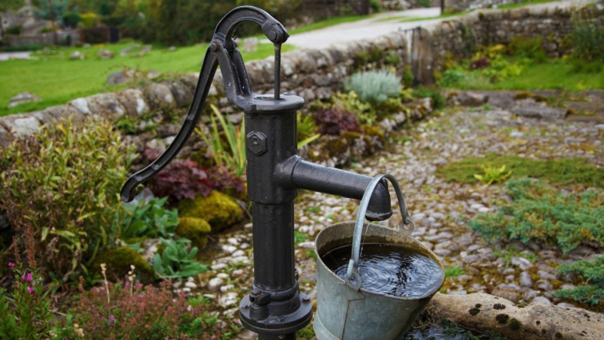 صورة توضيحية