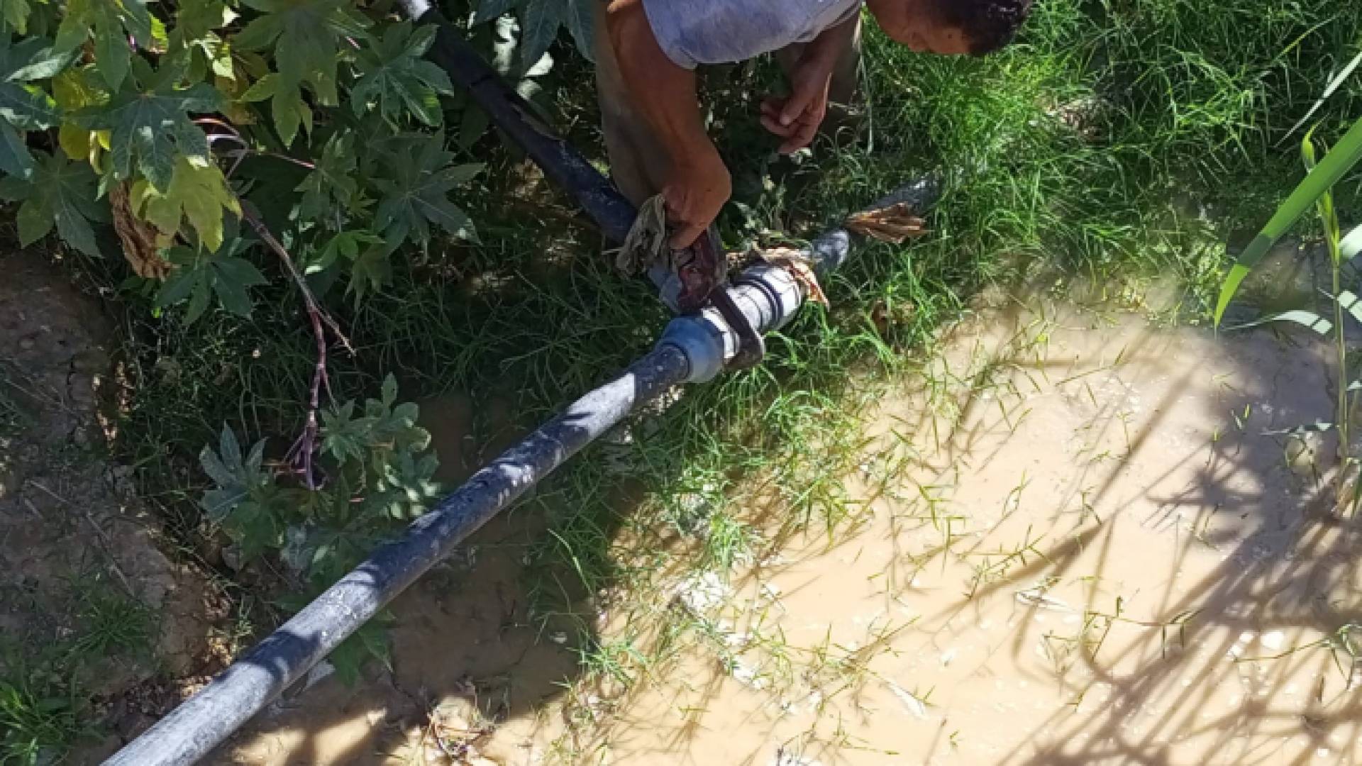 جانب من الاعتداءات التي ضبطت في الشونة الجنوبية