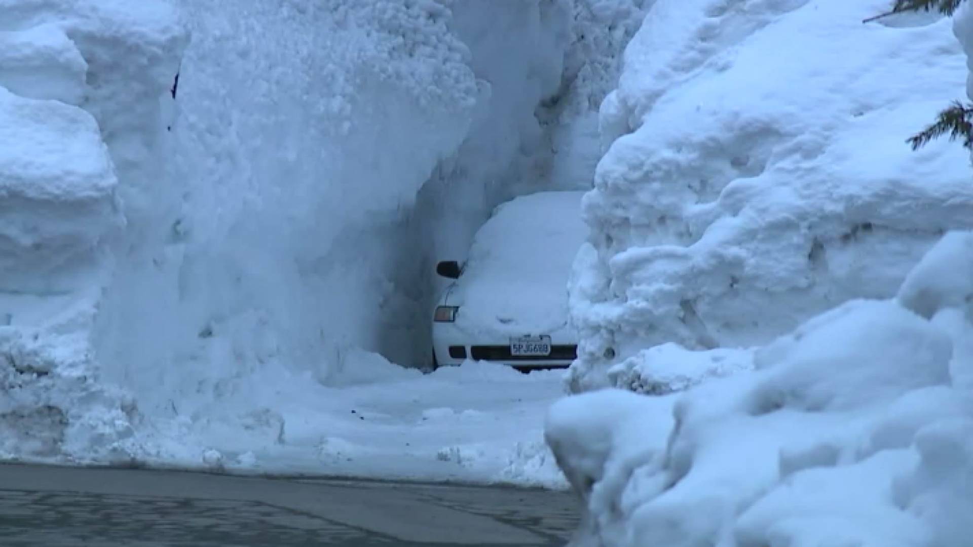 ثلوج تغطي إحدى المركبات في كاليفورنيا