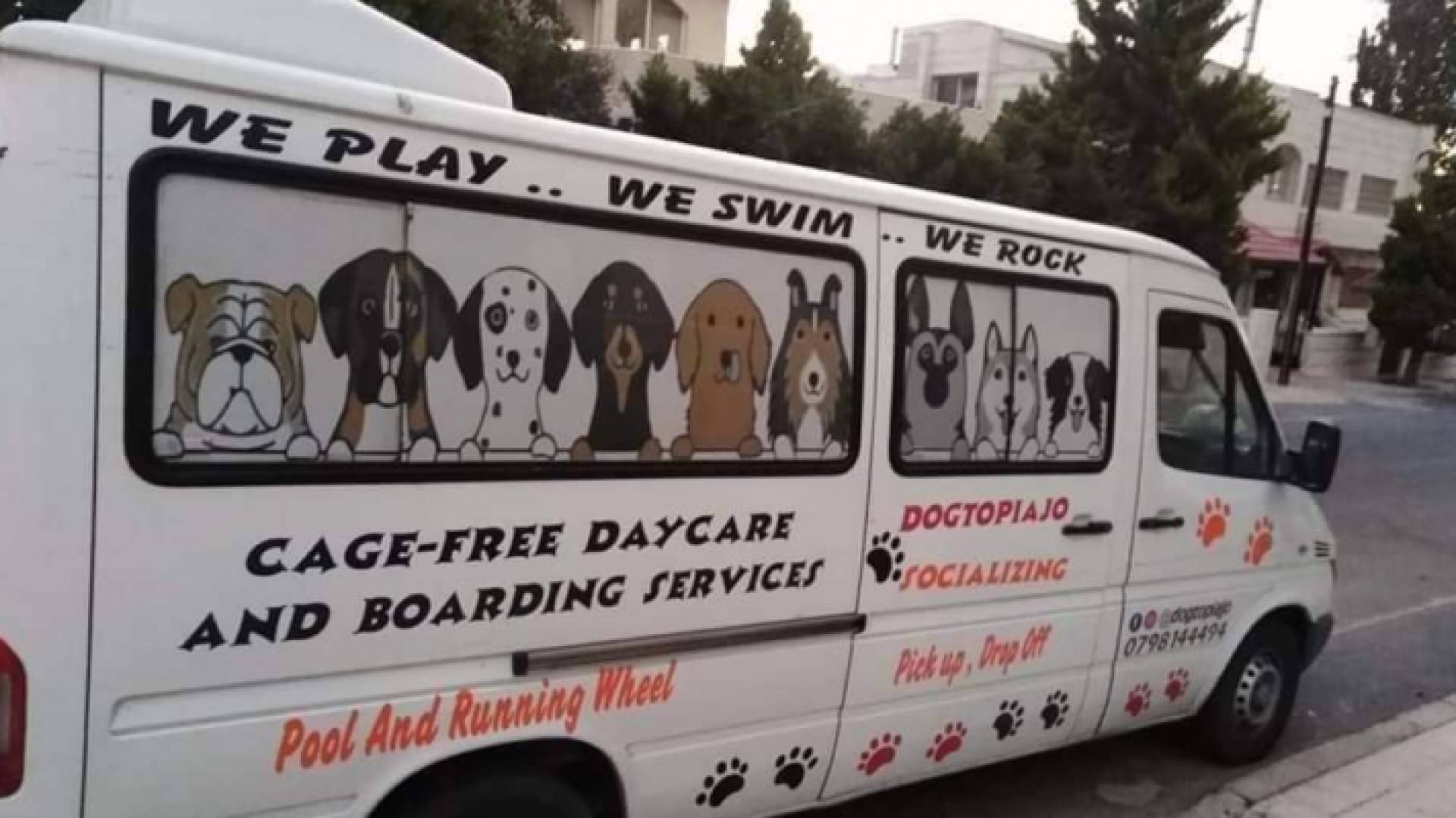 صورة "باص كلاب"