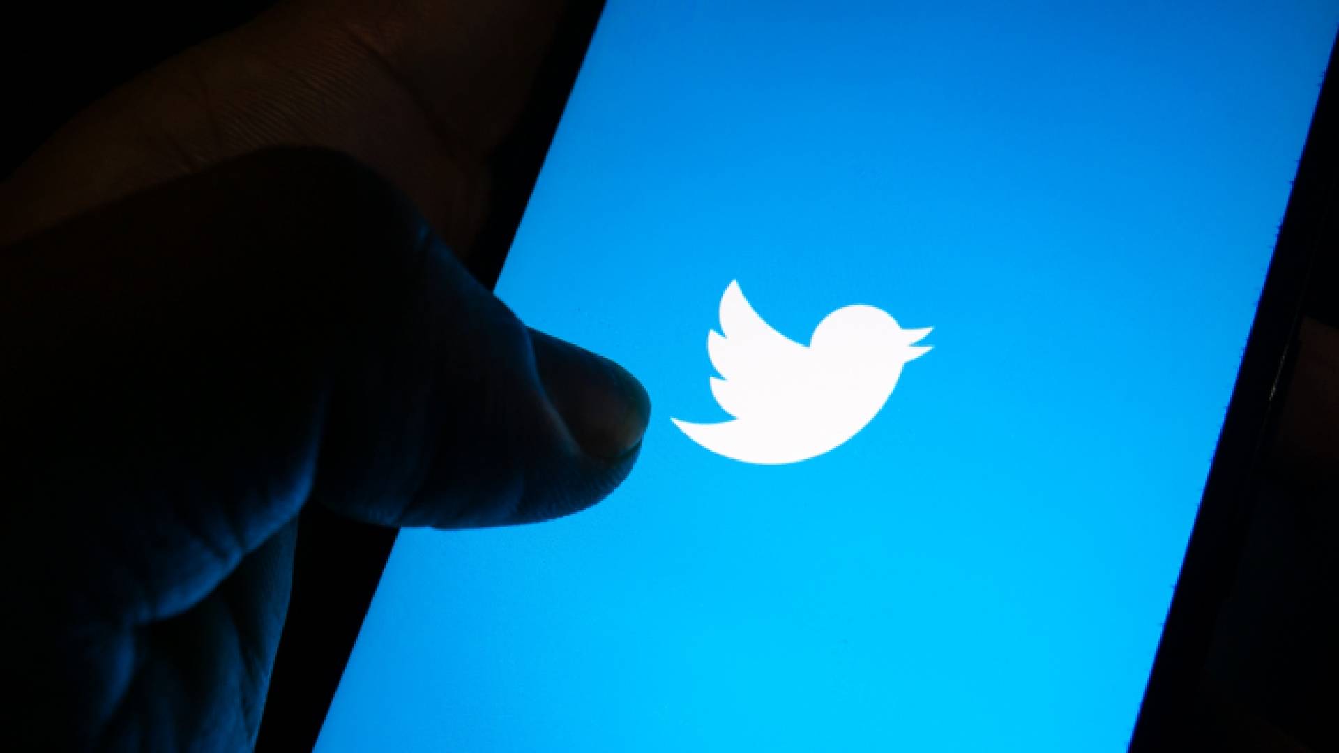 شعار تويتر على أحد الهواتف الخلوية