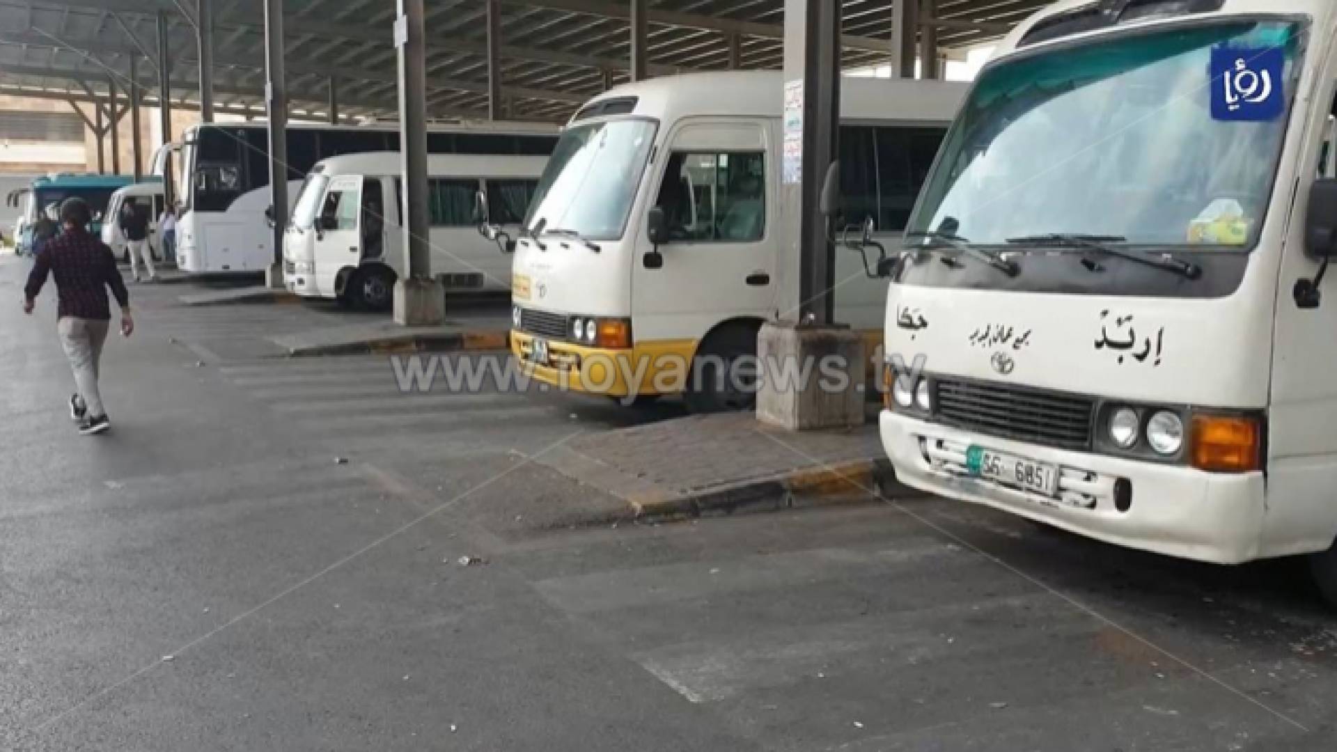 حافلات نقل عام في اربد