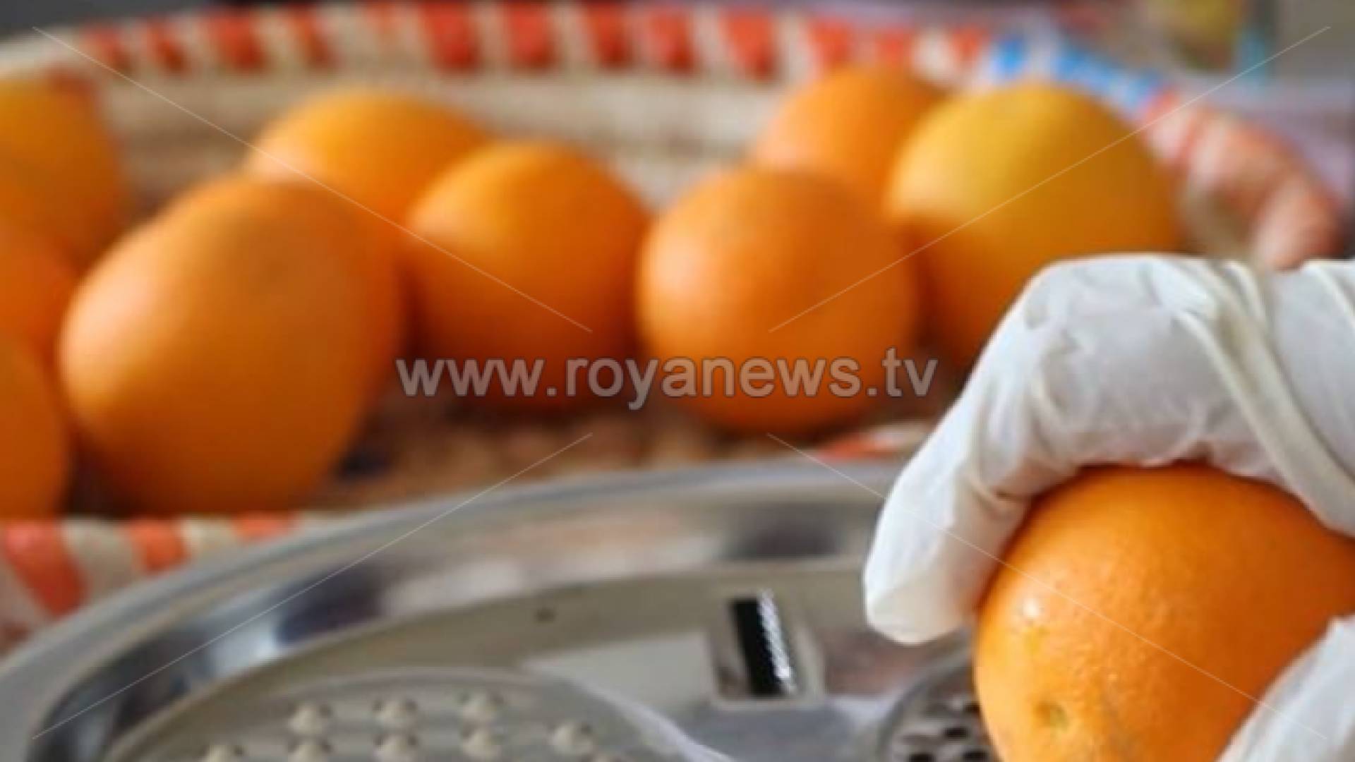 سيدة تقوم بصناعة مربى البرتقال