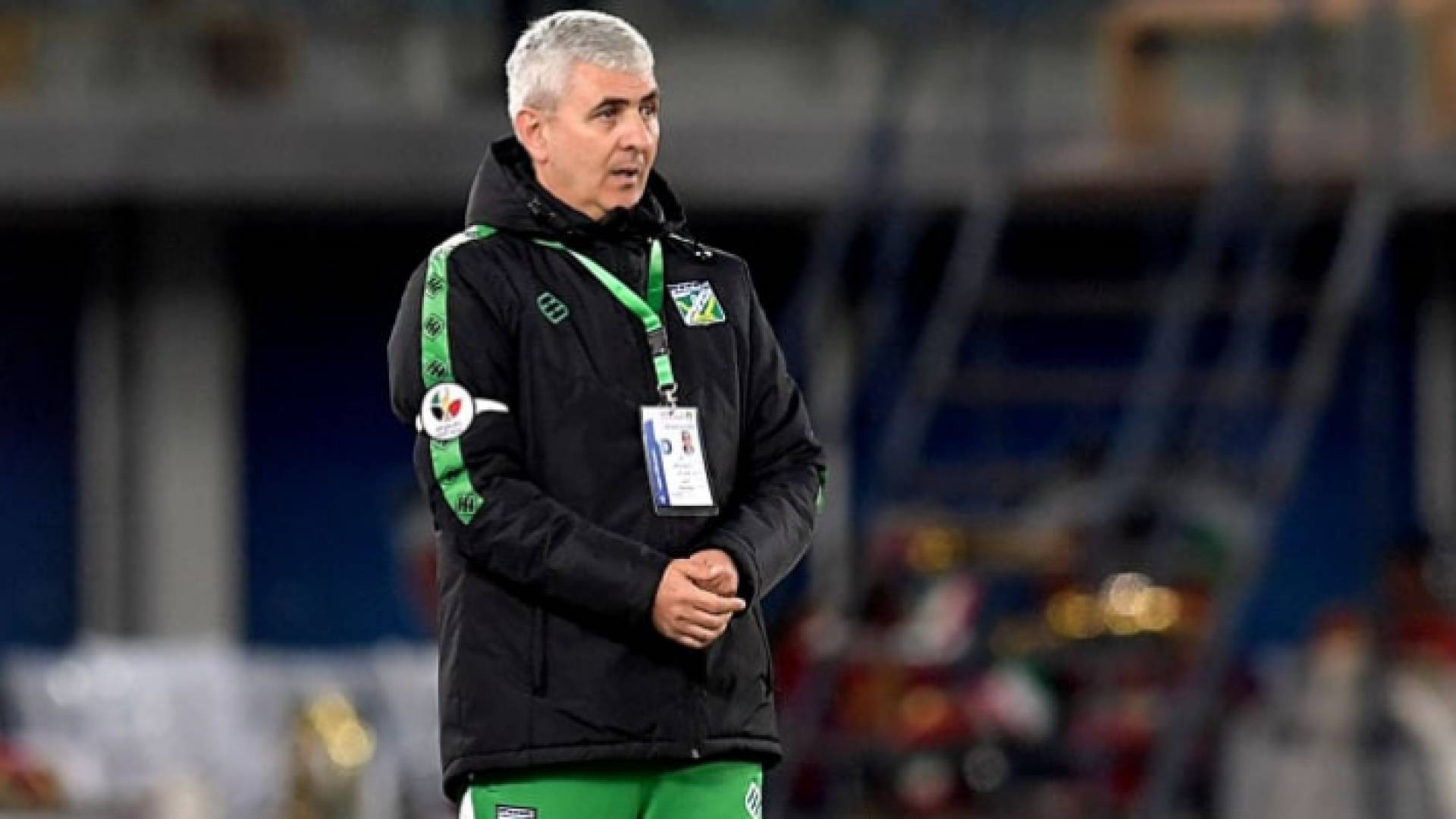 البوسني داركو نيستروفيتش