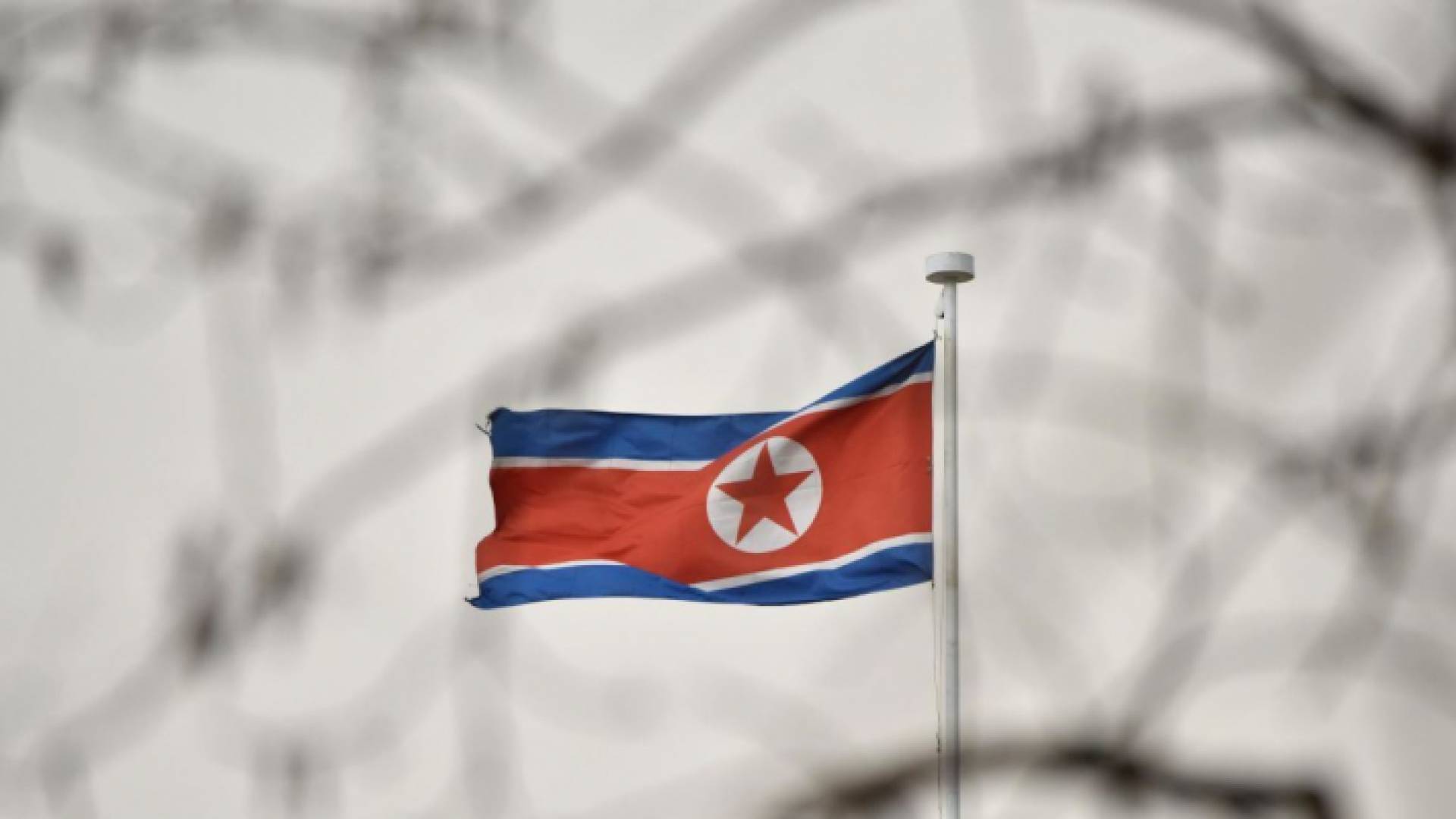 علم كوريا الشمالية