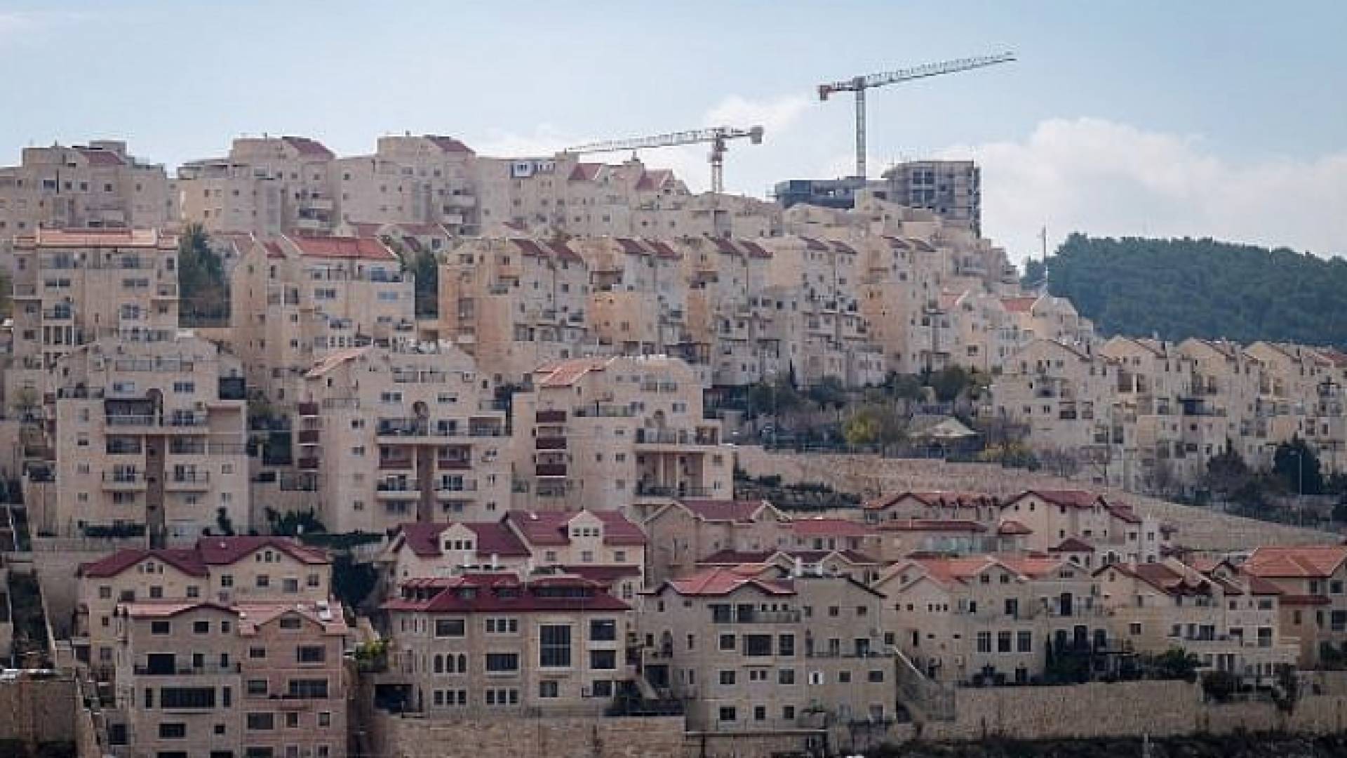 مستوطنة - أرشيفية