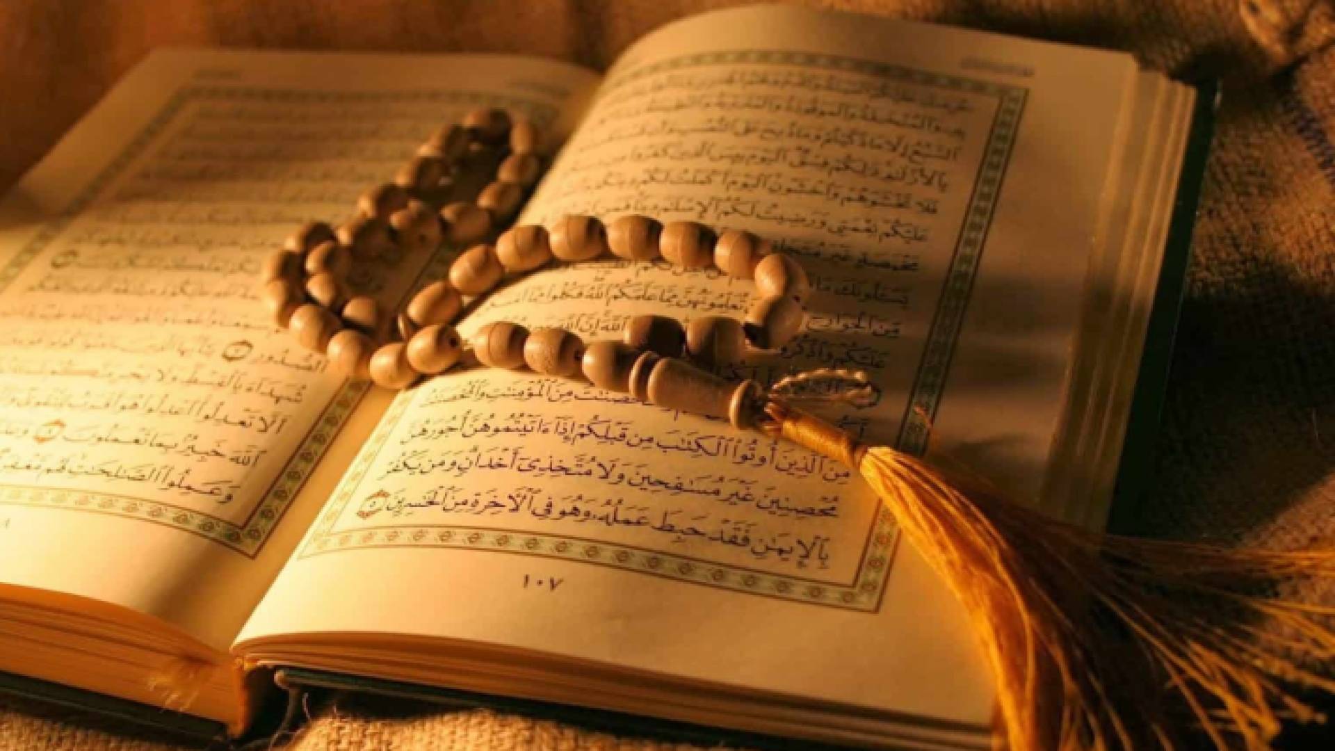 المصحف الشريف - القرآن الكريم