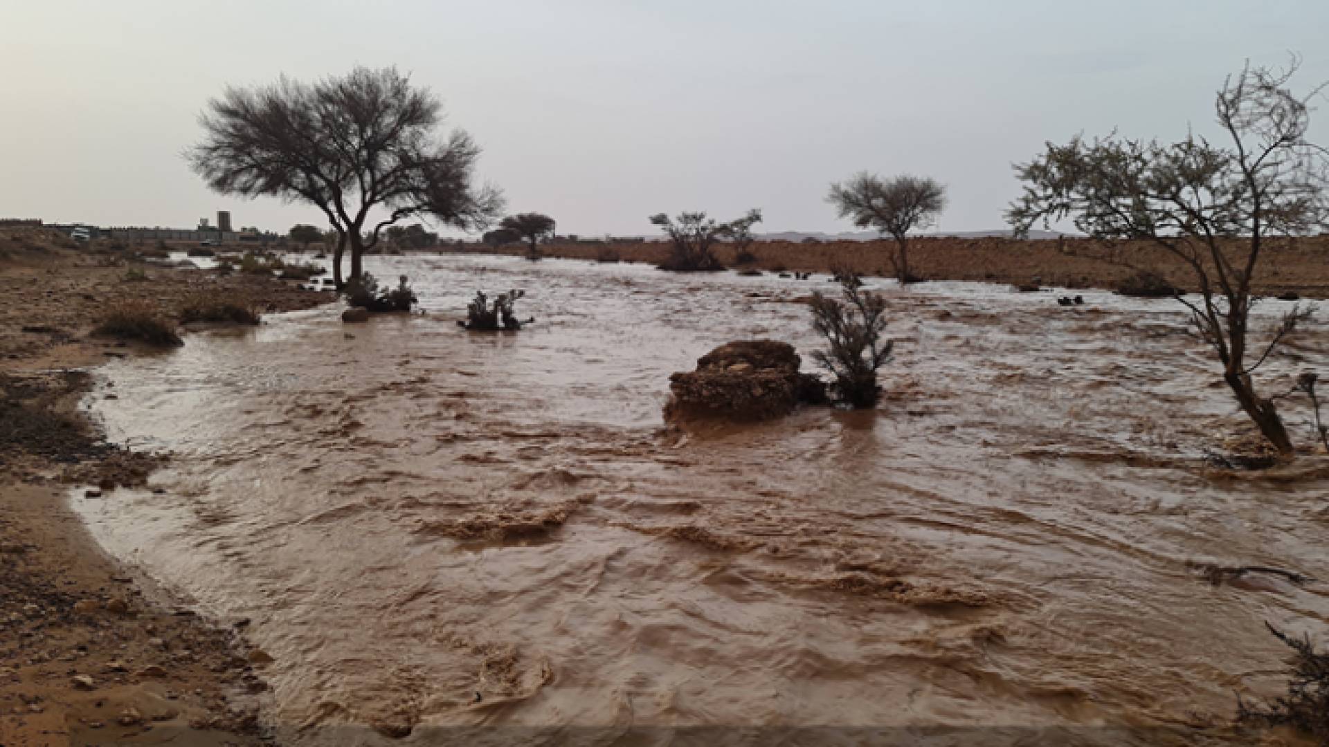 سيول - أرشيفية