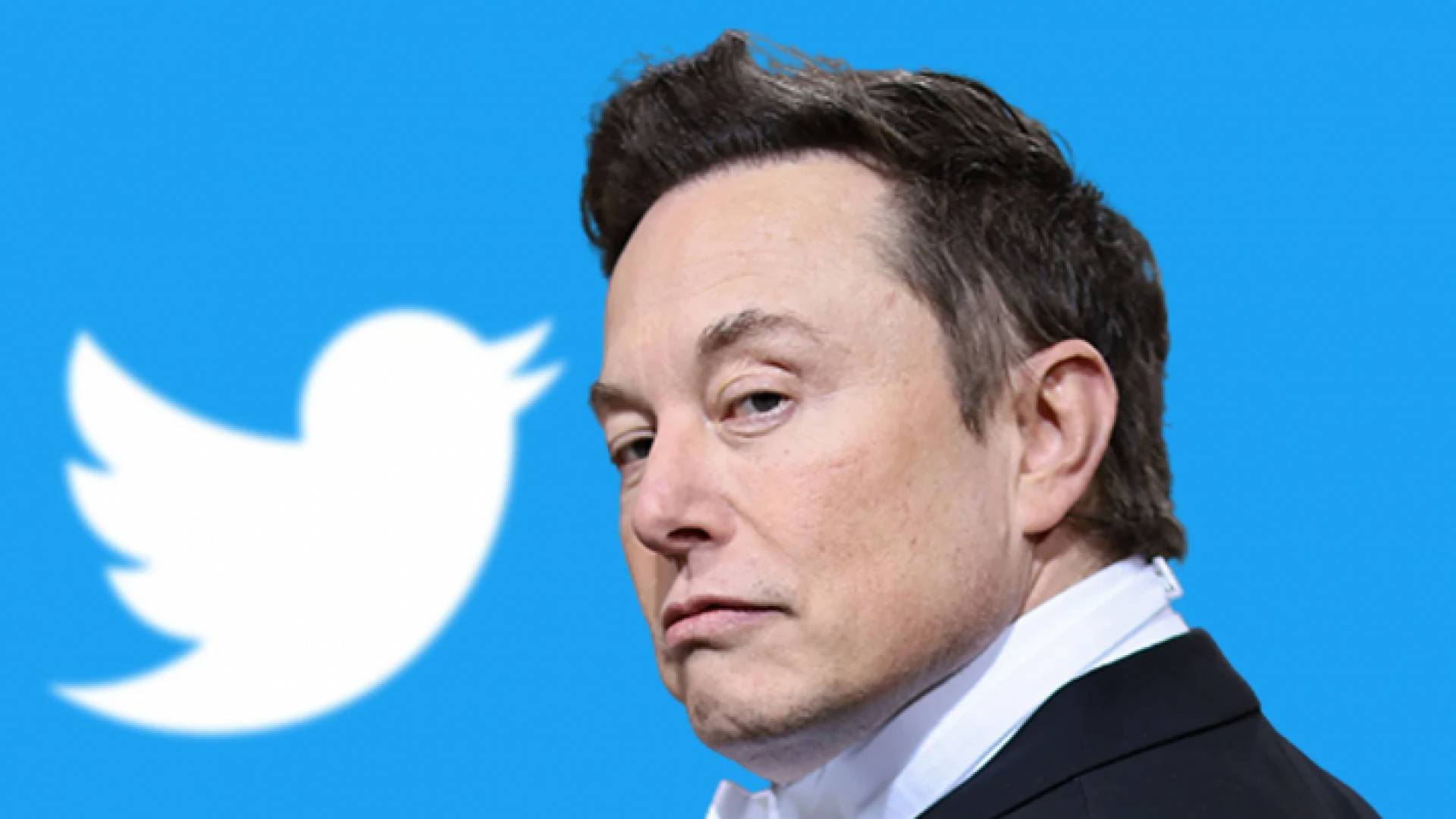 صورة إيلون ماسك