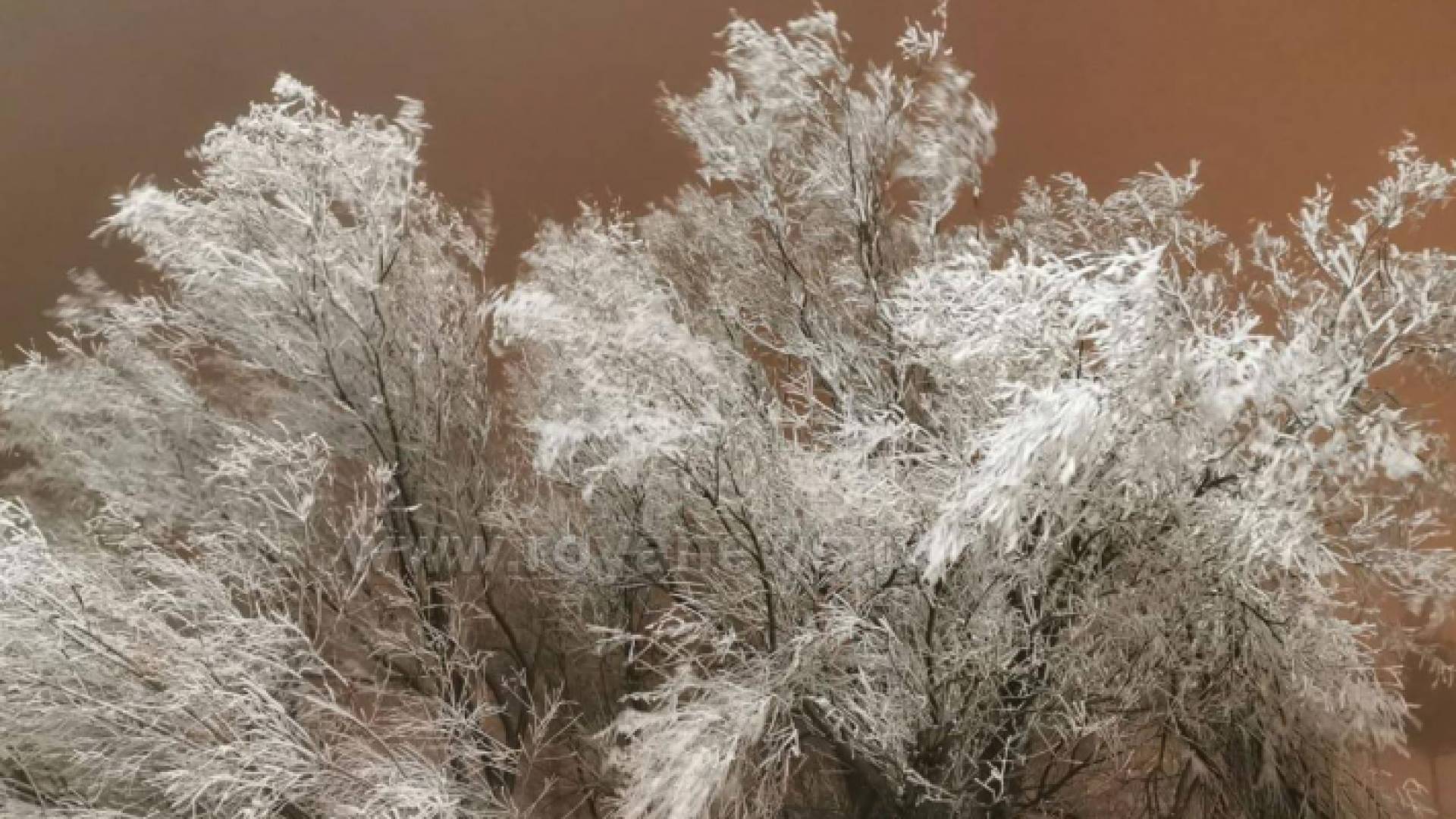الانجماد والصقيع في جبال الرشادية - أرشيفية
