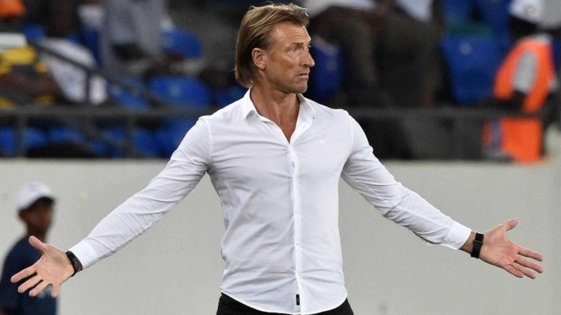 هيرفي رينارد