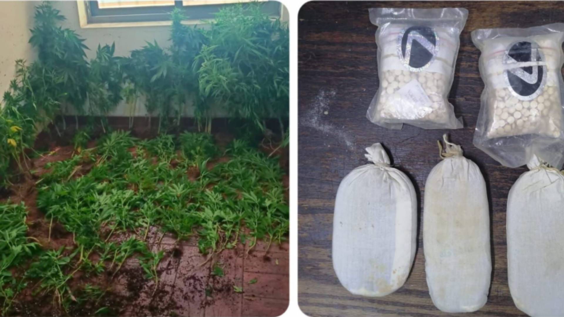 من المضبوطات