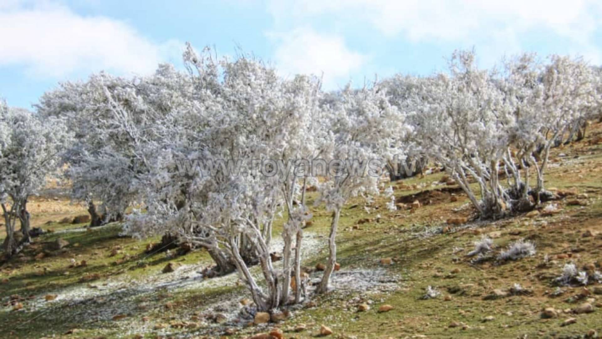 صورة أرشيفية انجماد في الهيشة