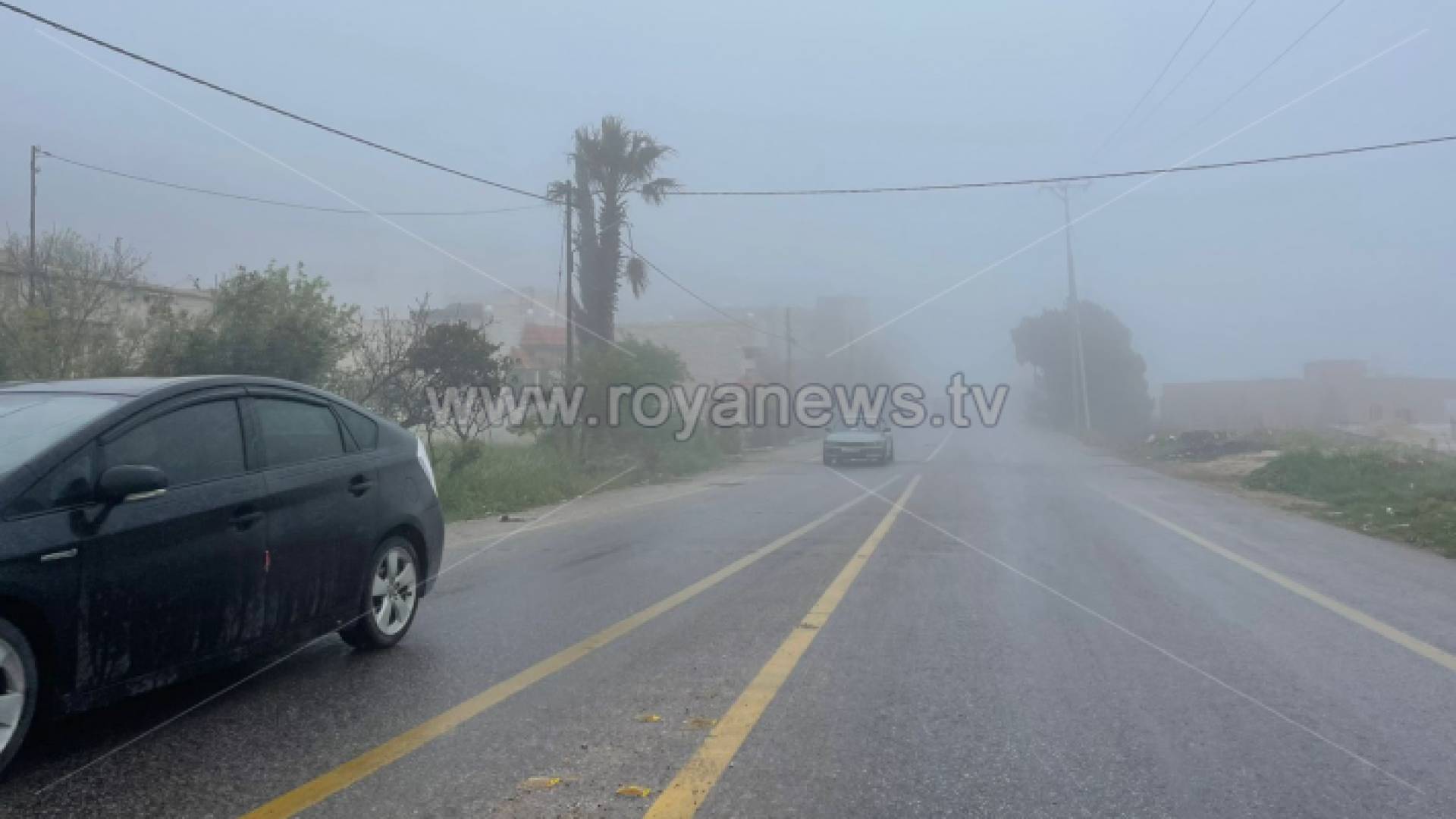 ضباب كثيف في محافظة عجلون