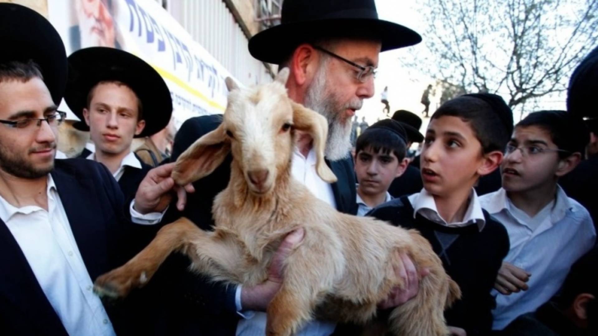 حاخام يحمل قربان