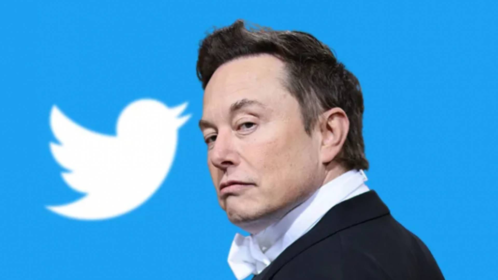 مالك منصة تويتر إيلون ماسك