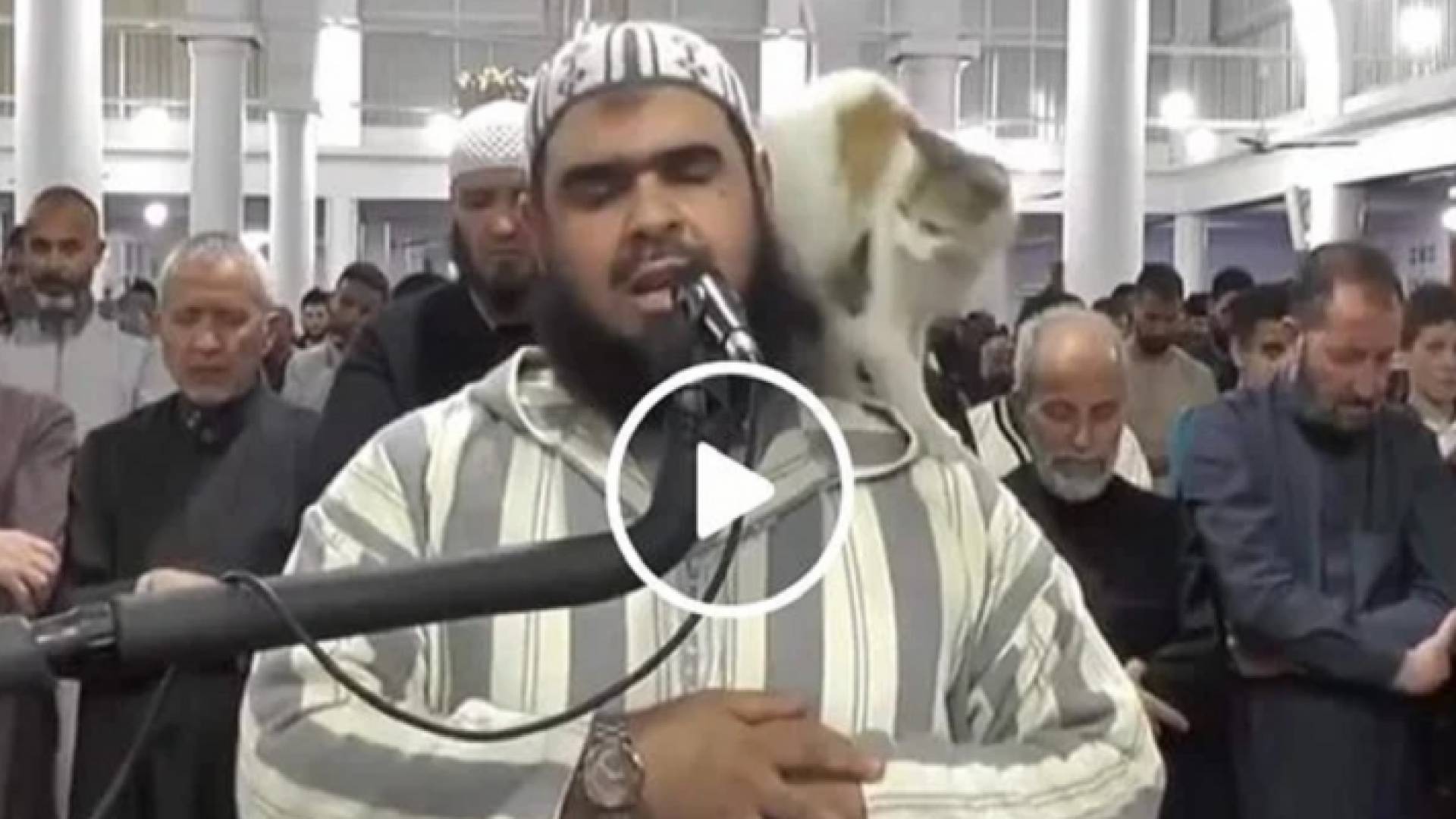 لحظة صعود قطة على كتف إمام المسجد الجزائري وليد مهساس