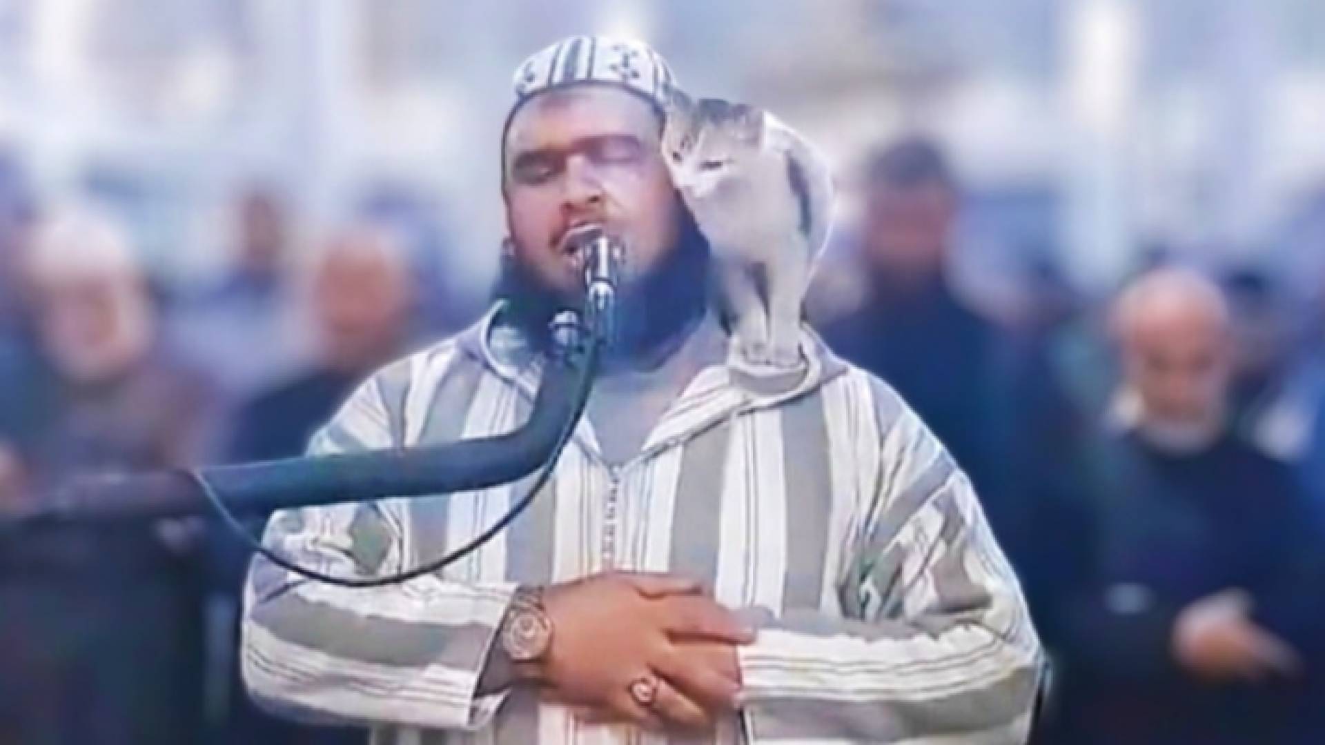 لحظة صعود قطة على كتف إمام المسجد الجزائري وليد مهساس