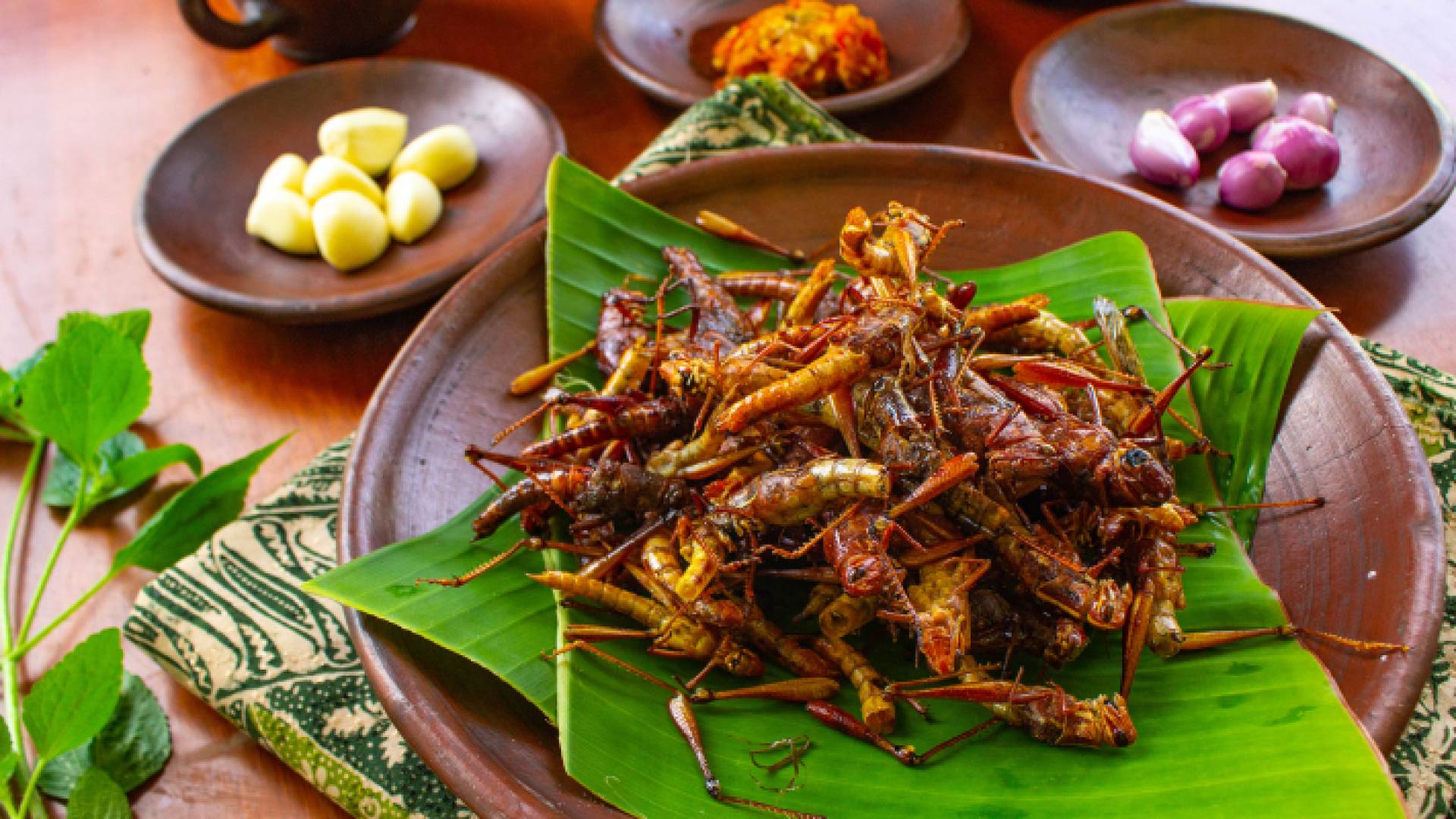 وجبة جنادب غنية بالبروتين