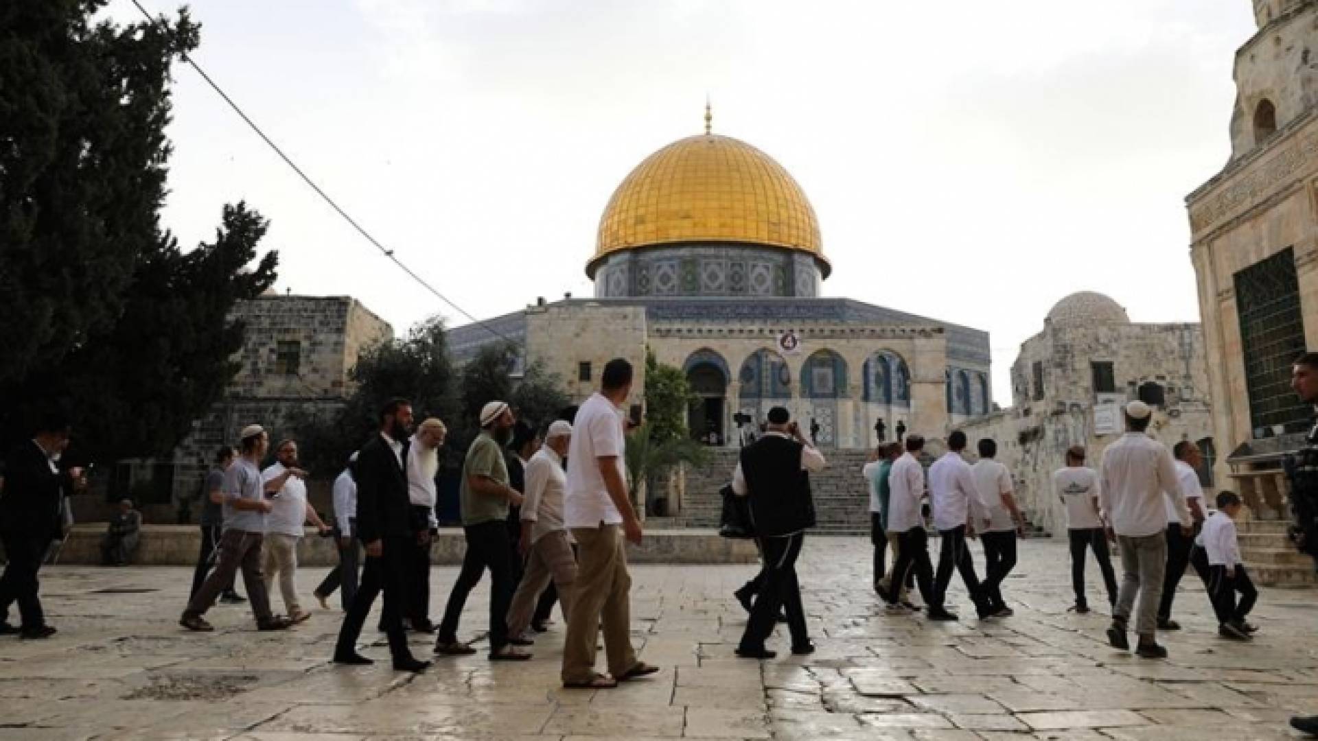 مستوطنون يقتحمون الأقصى "أرشيفية"