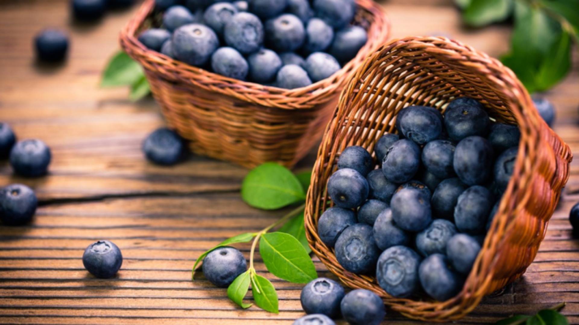 التوت الأزرق