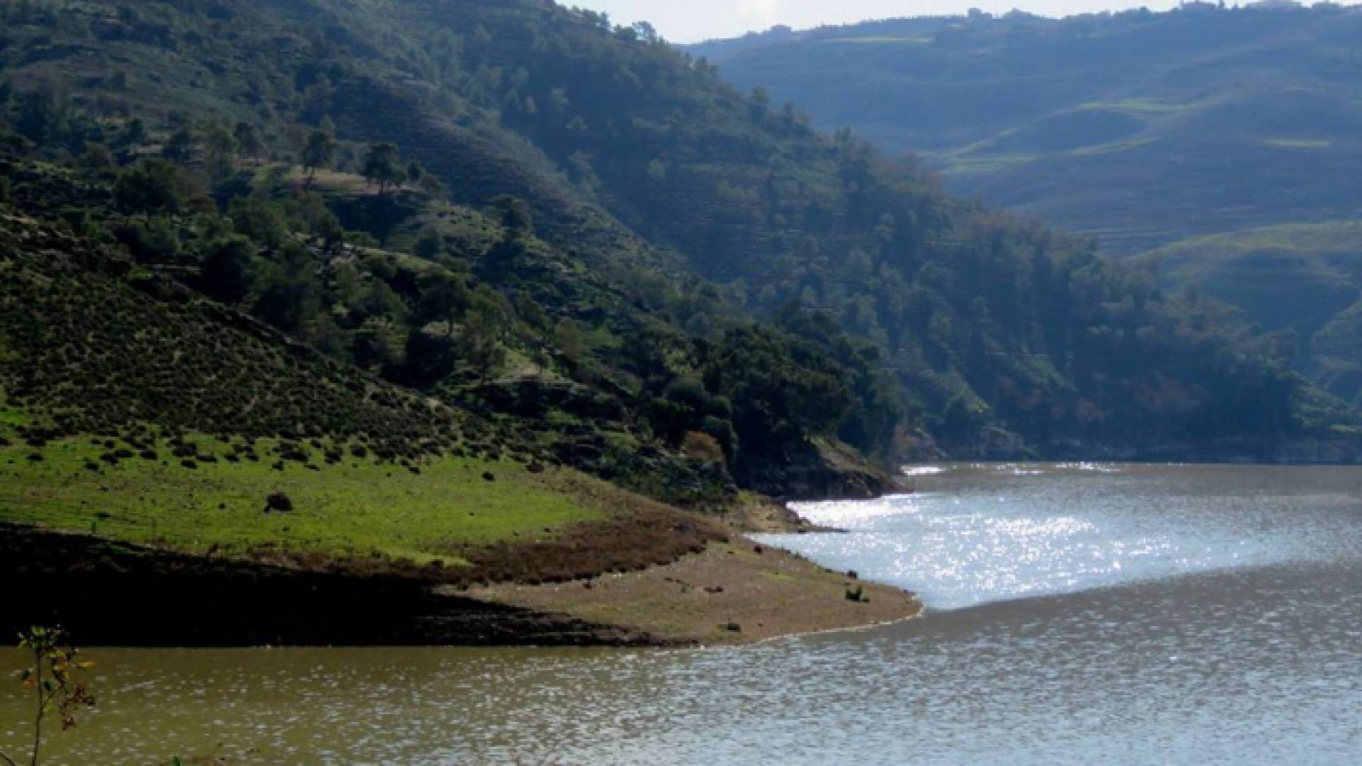 سد الملك طلال "أرشيفية"