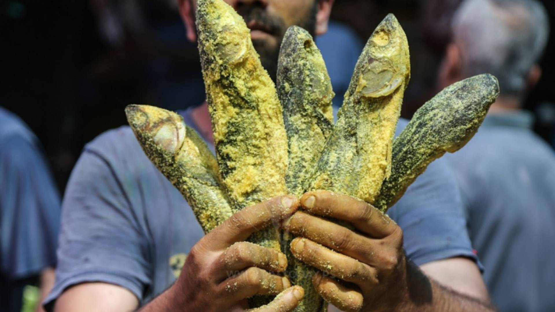 بائع الـ"فسيخ" يعرض سمك الفسيخ