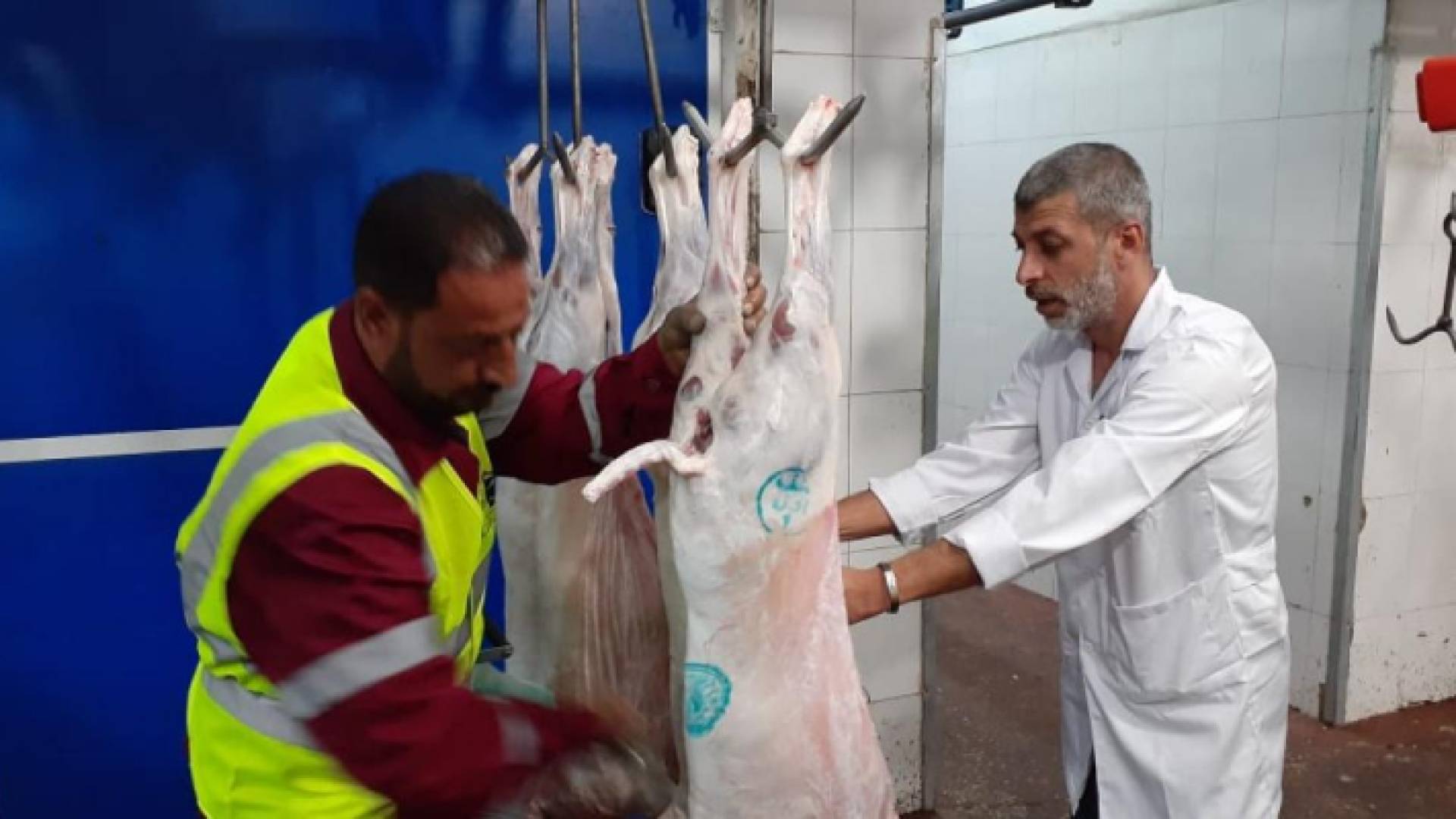 عاملون في مسلخ أمانة عمان