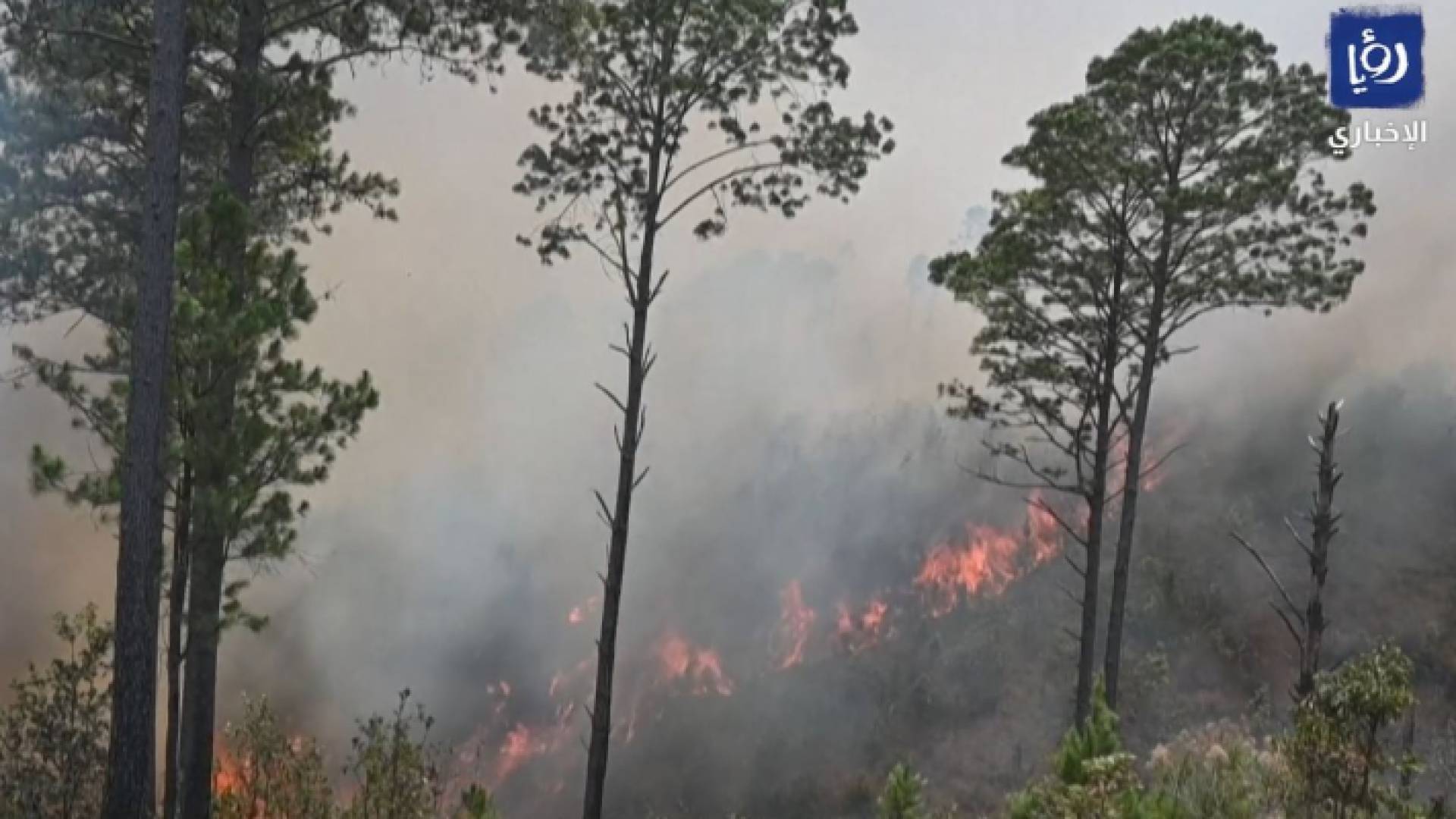 حريق بغابات الهندوراس في أمريكا الوسطى