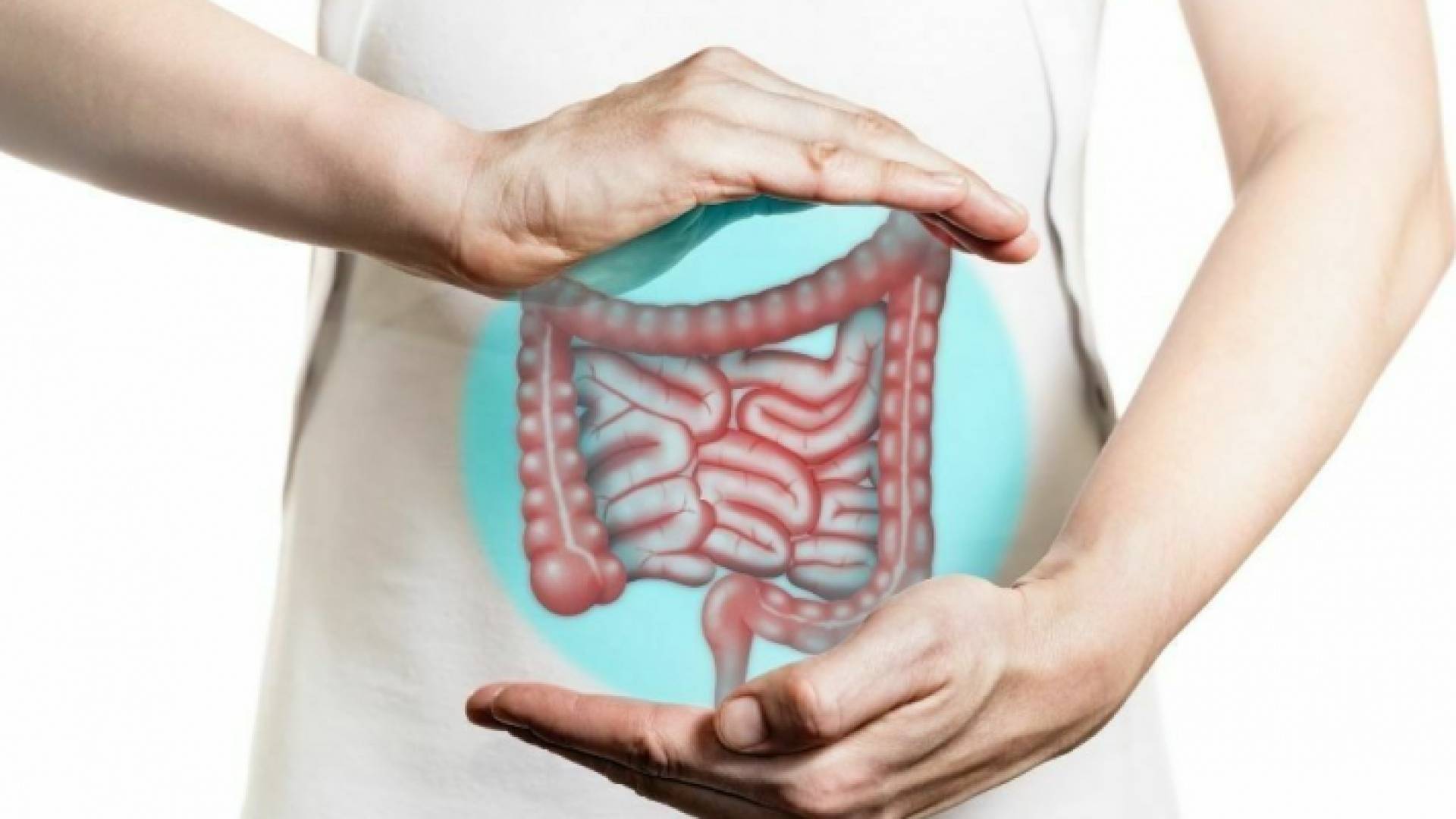 صورة توضيحية للجهاز الهضمي