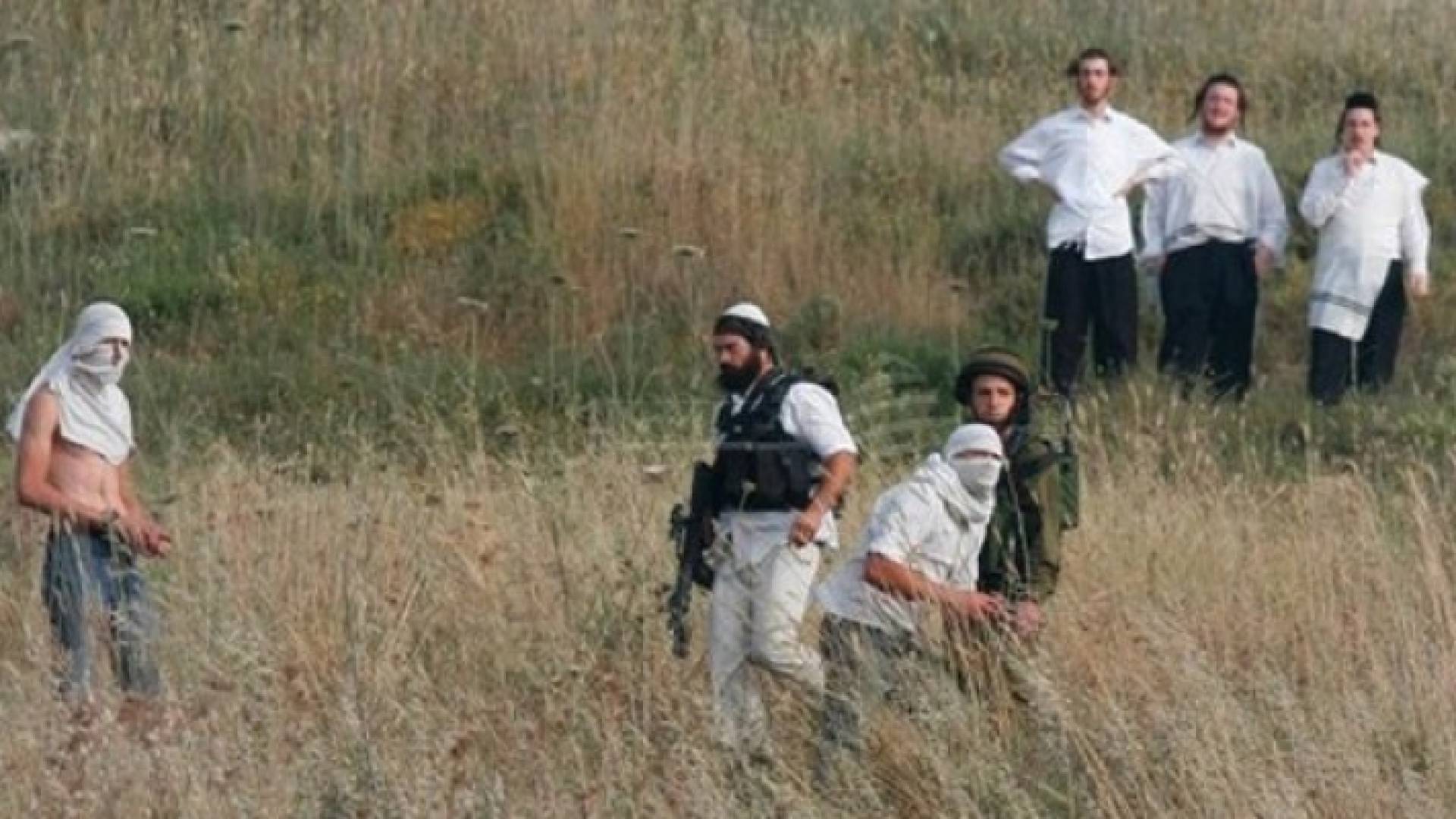 مستوطنون في أحد الأراضي الفلسطينية