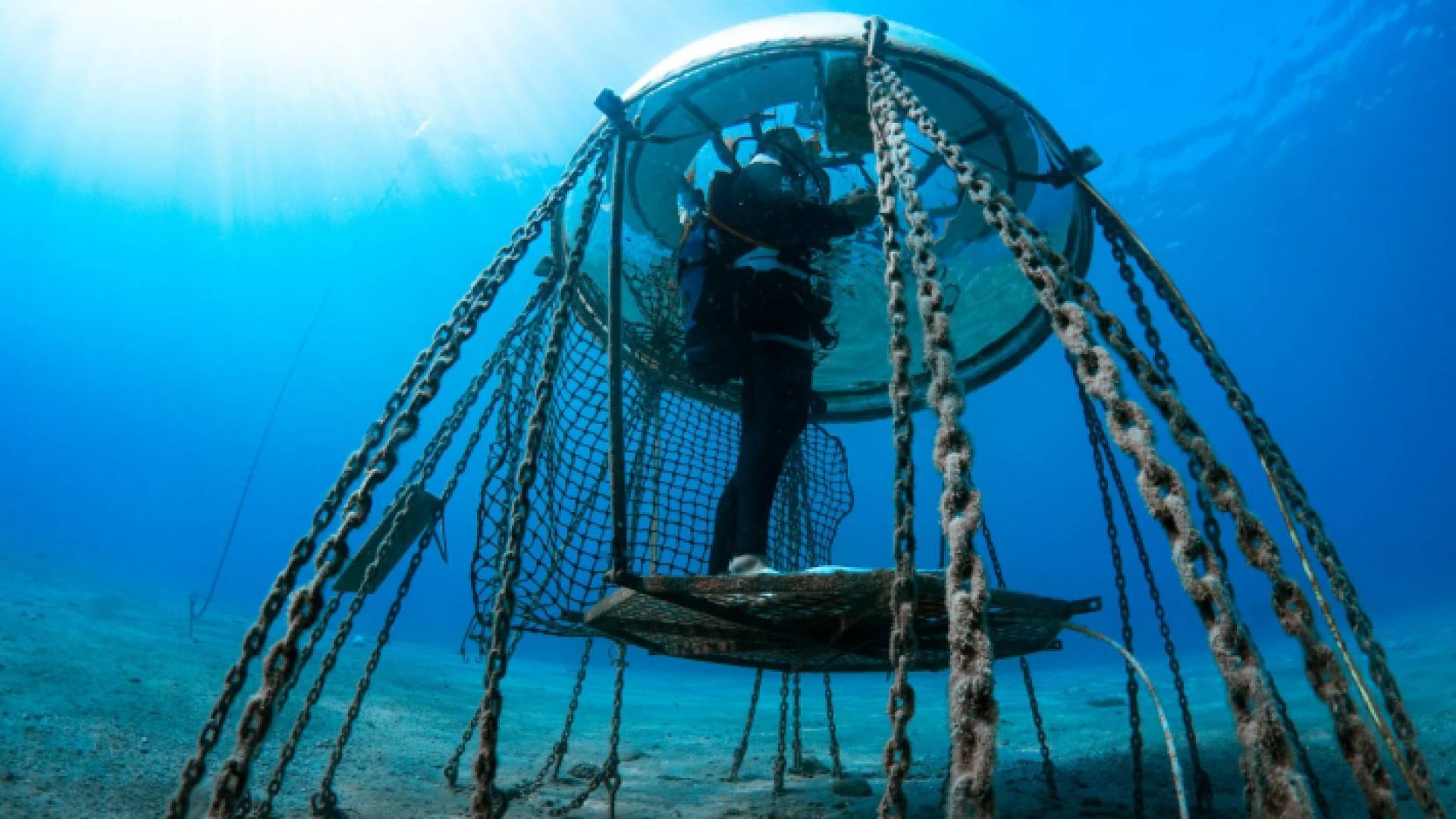 زراعة المحاصيل على تحت سطح البحر