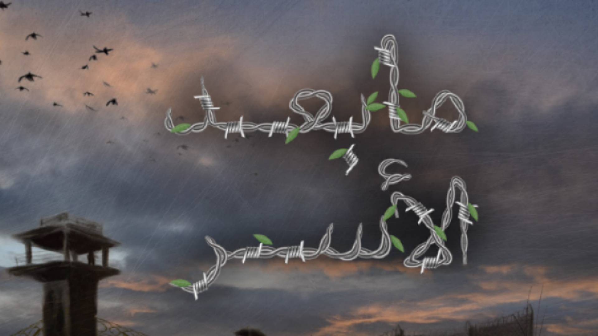 برنامج "ما بعد الأسر".. قصص لأسرى فلسطينيين