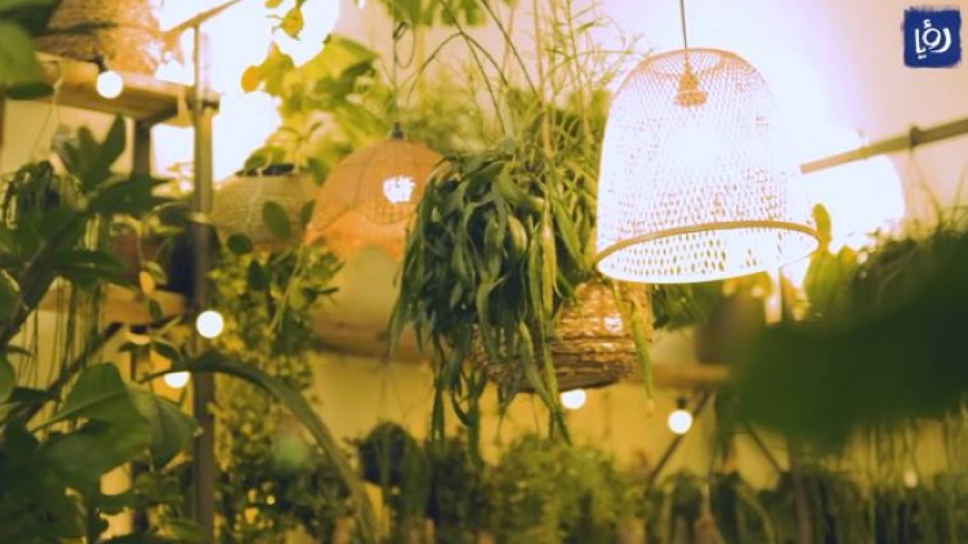 منزل الطبيبة الهندية عائشة صديقي