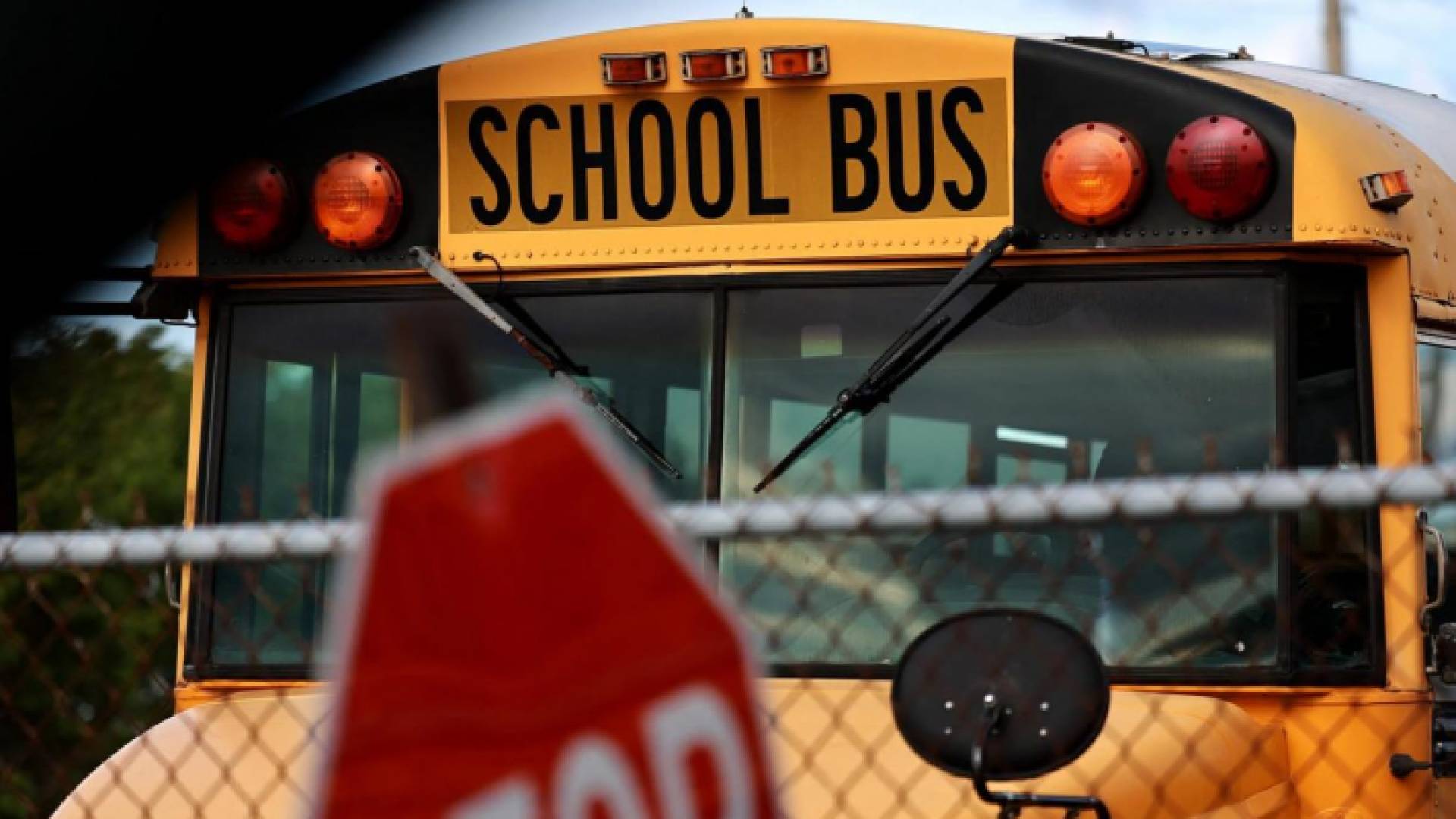 حافلة مدرسة