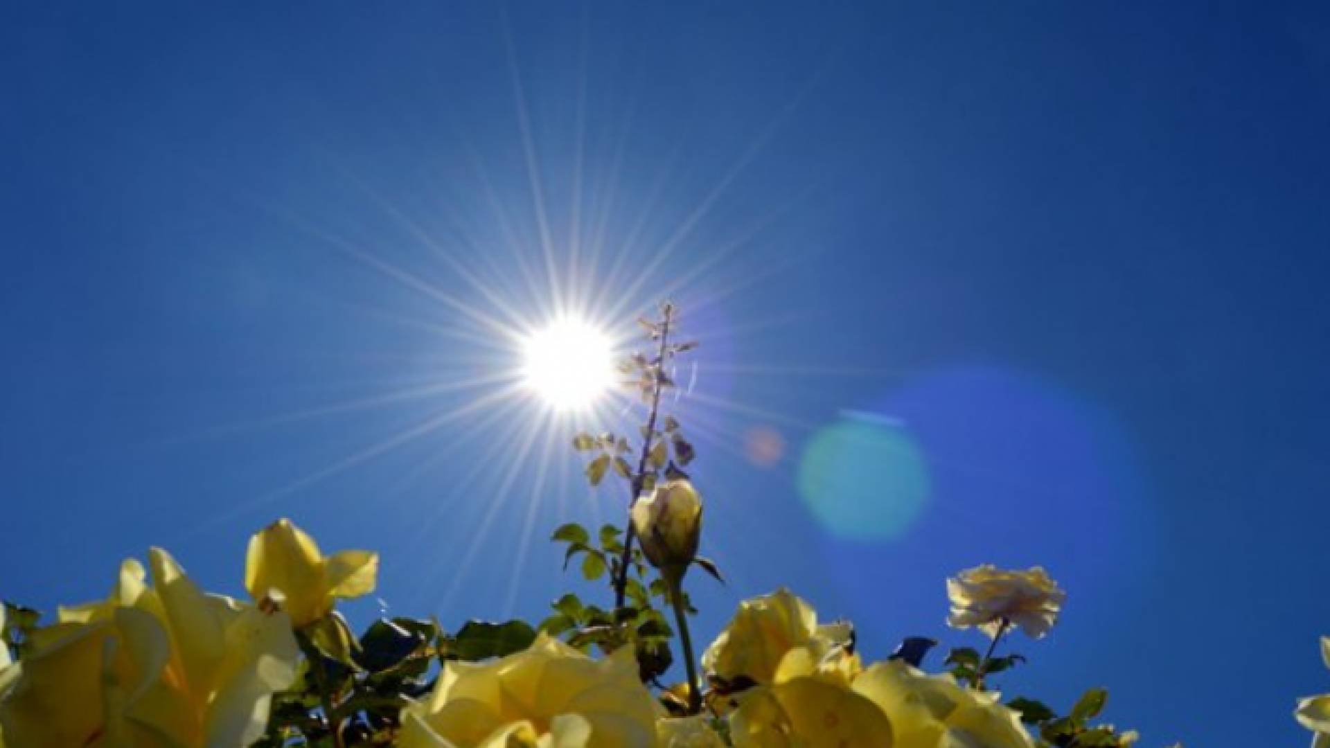 صورة للربيع في منطقة بالأردن