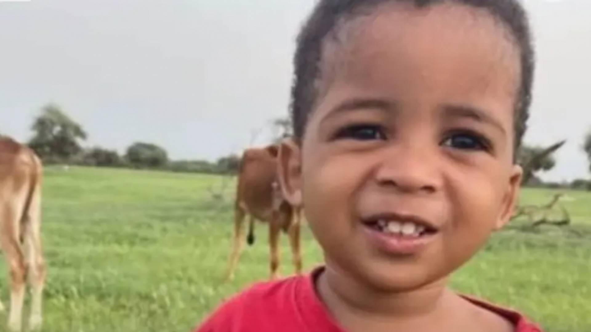 صورة الطفل المفقود سيد أحمد