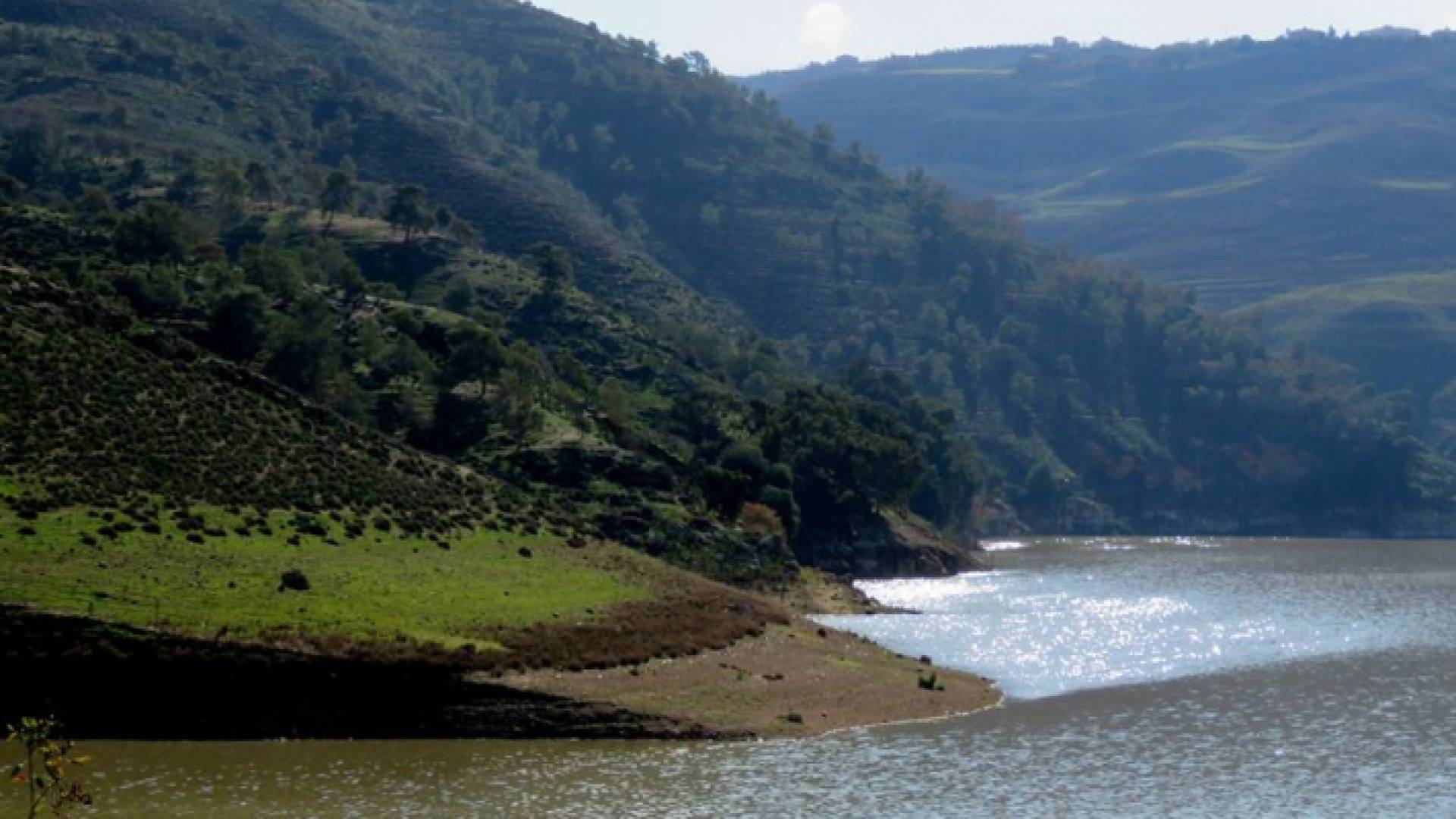 سد الملك طلال