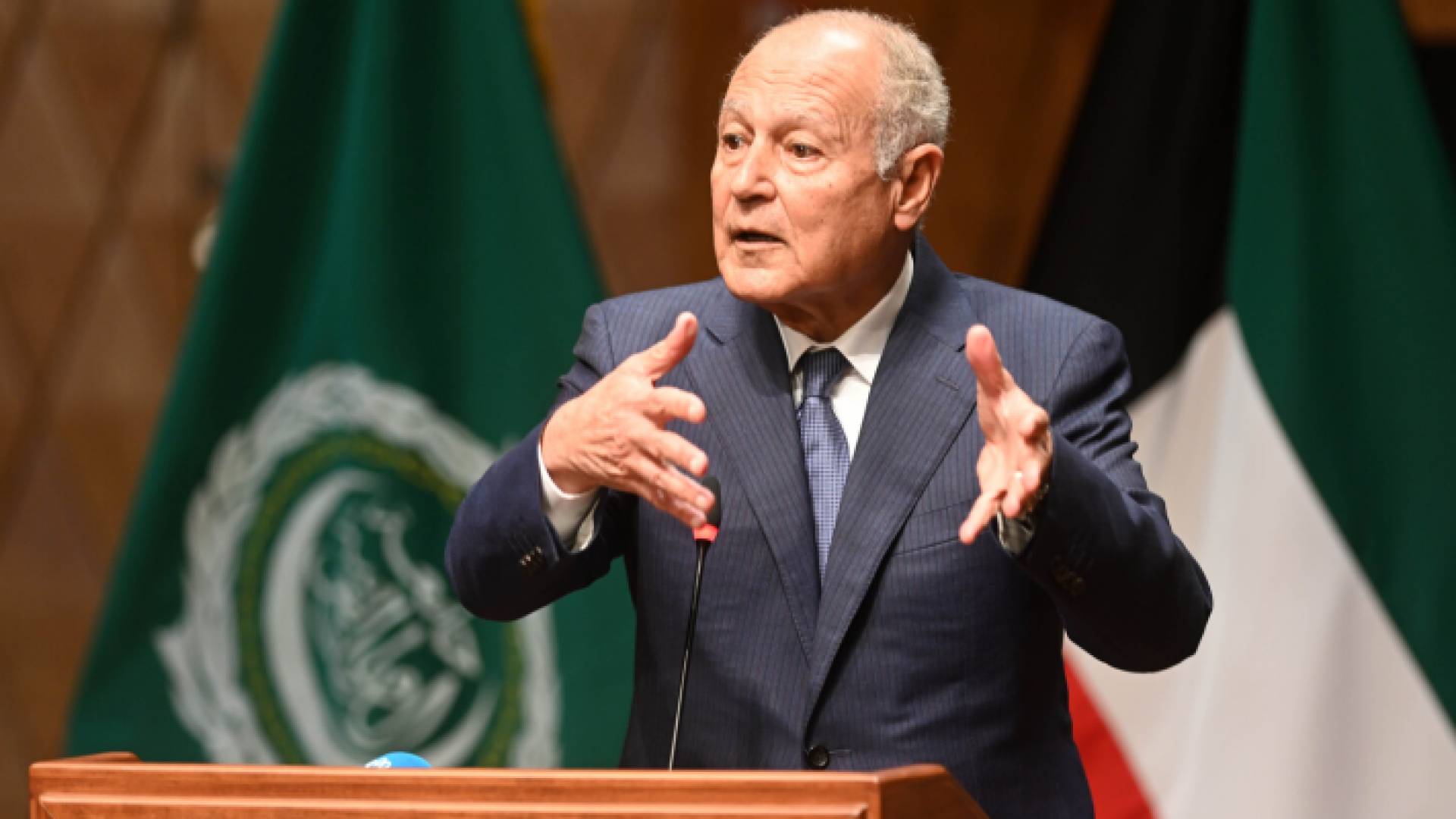 أحمد أبو الغيط