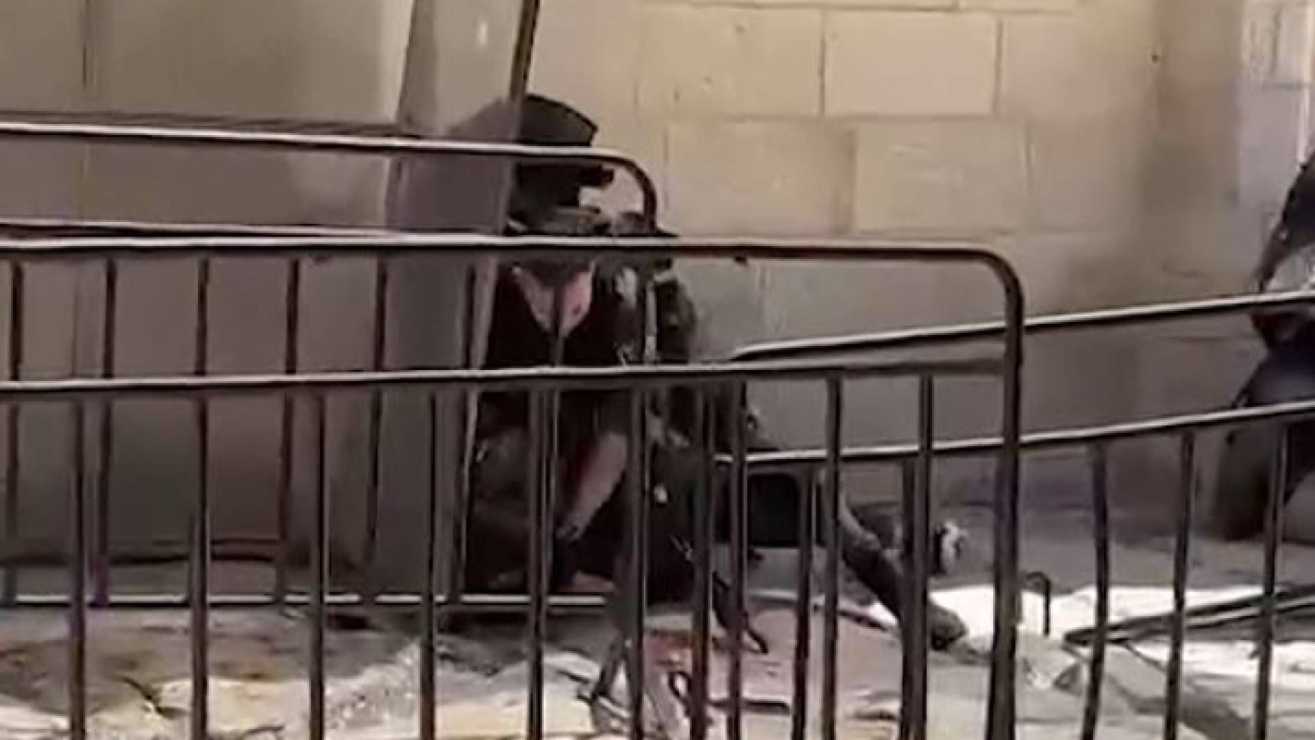 فلسطيني يطرح أحد جنود نتنياهو أرضا ويضربه