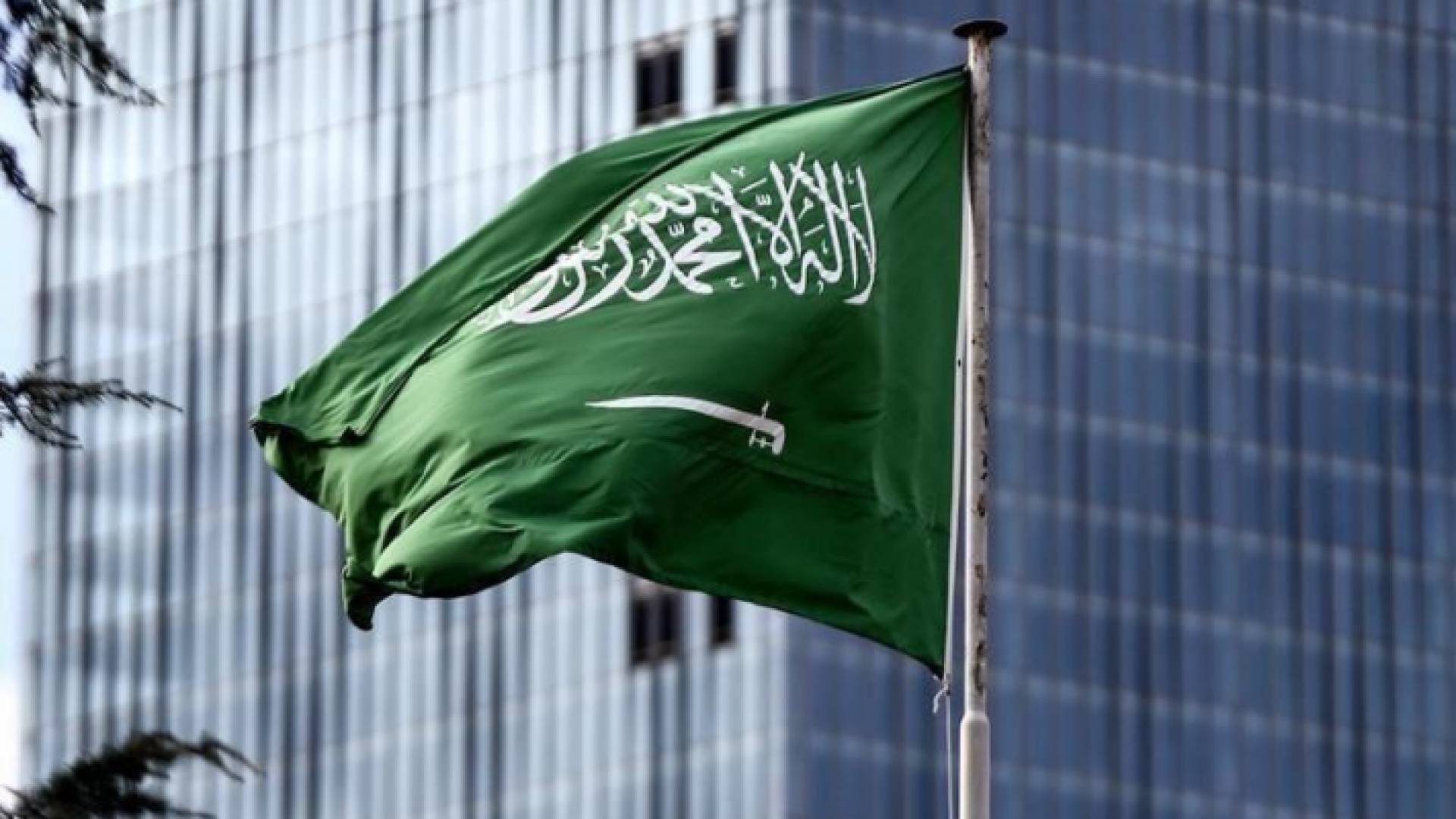 علم المملكة العربية السعودية