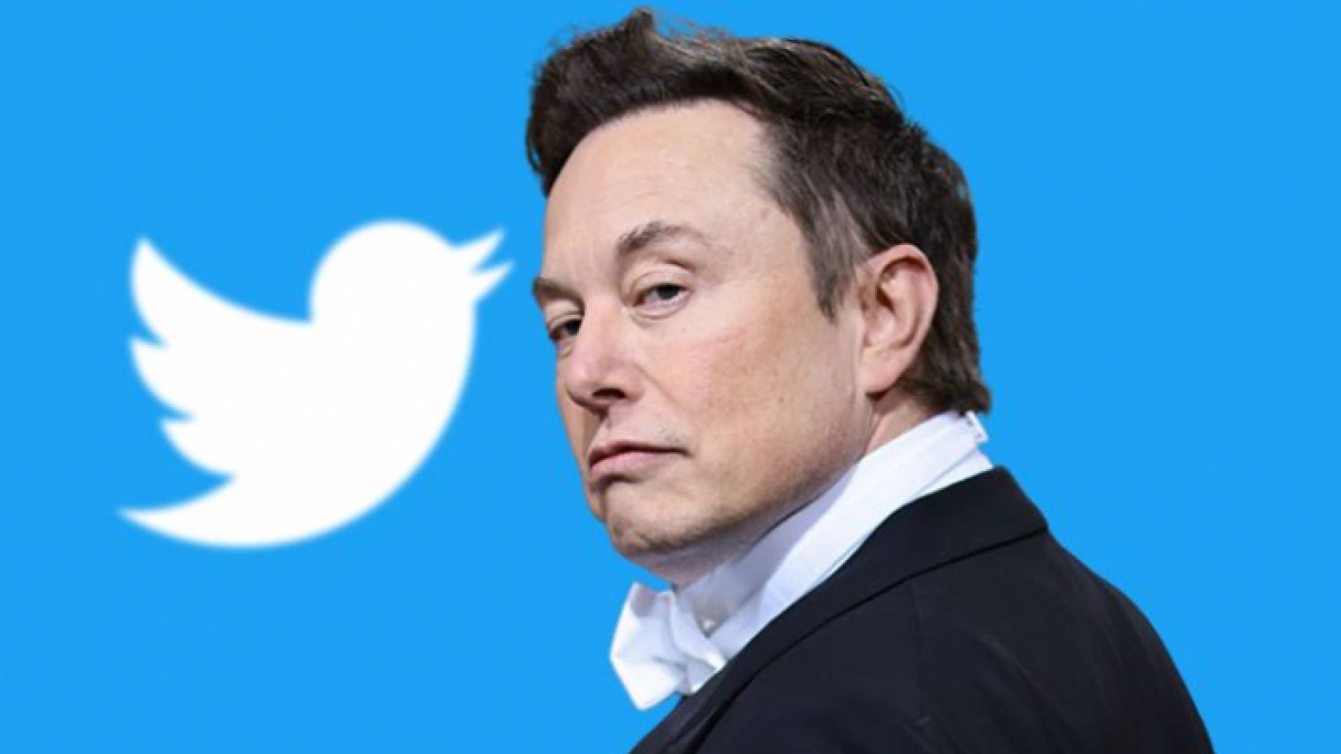 الملياردير الأمريكي إيلون ماسك