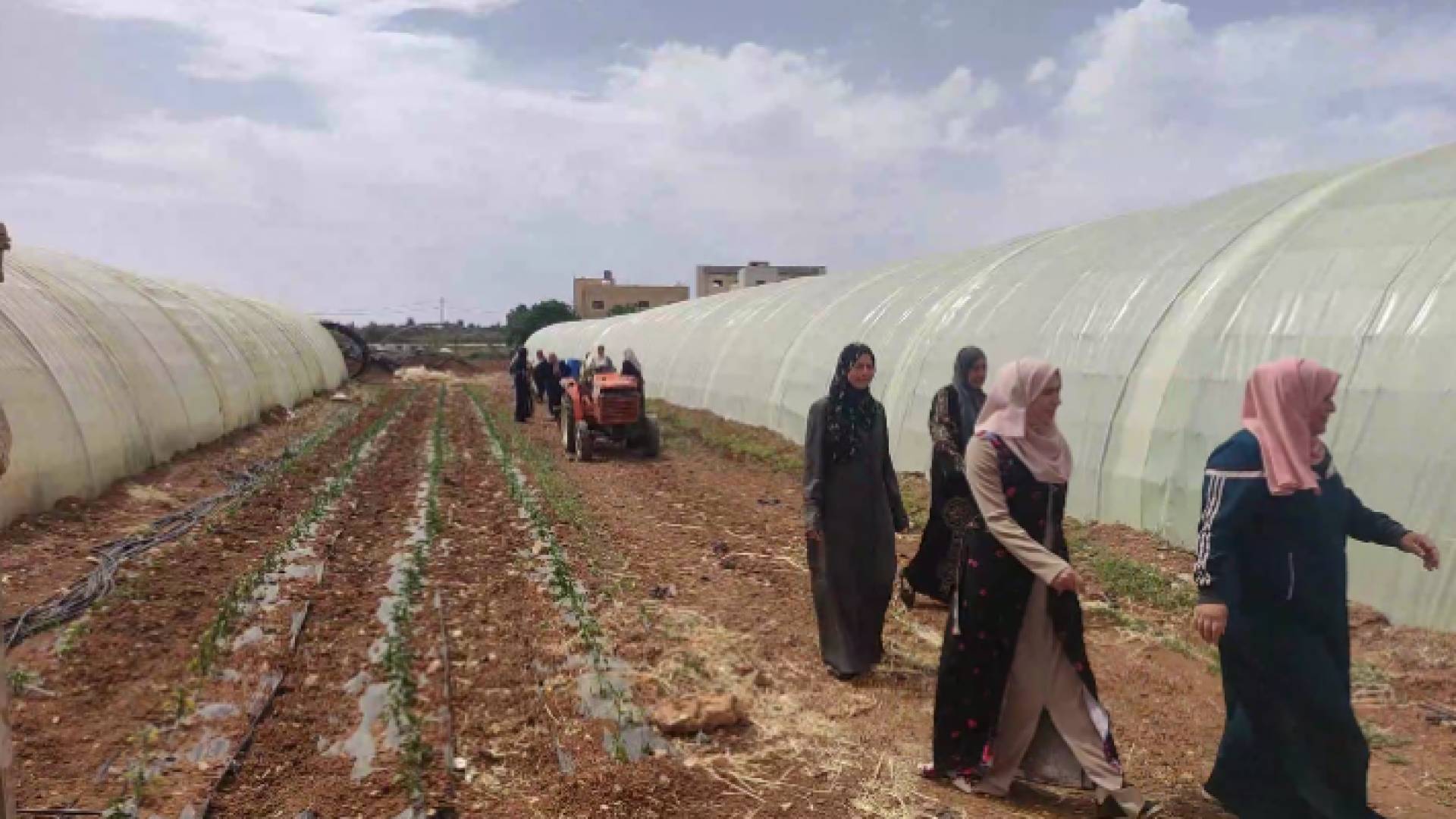 سيدات جرينة يواجهن الحالة الاقتصادية لأسرهن بمشروع زراعي