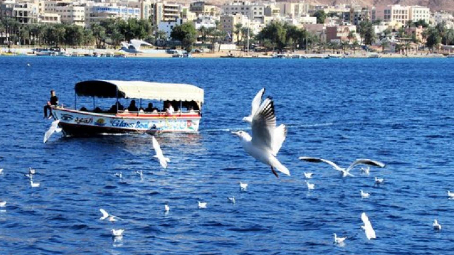 صورة لبحر العقبة