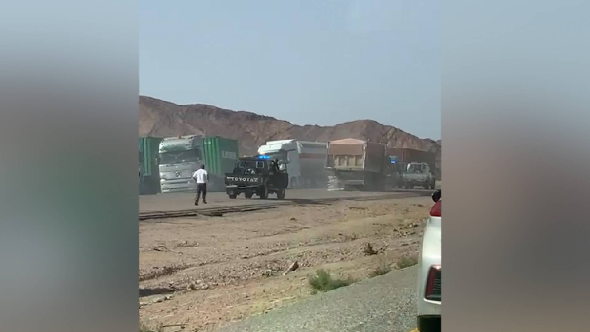 لحظة مطاردة الشاحة في العقبة