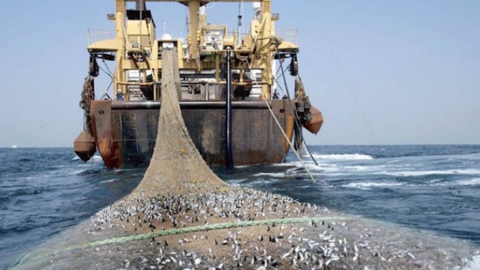 سفينة صيد "تعبيرية"