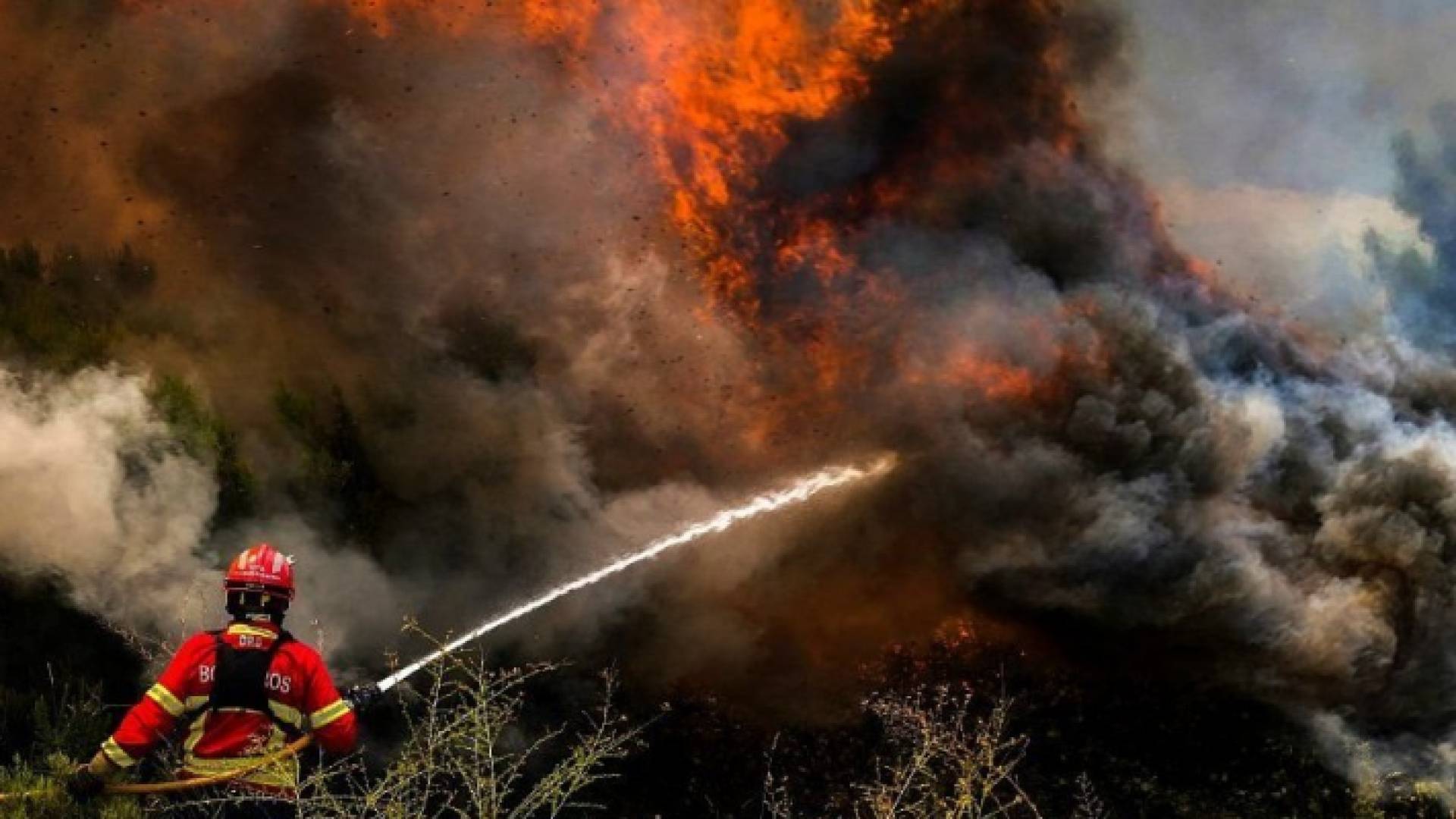 حرائق الغابات الضخمة في إسبانيا