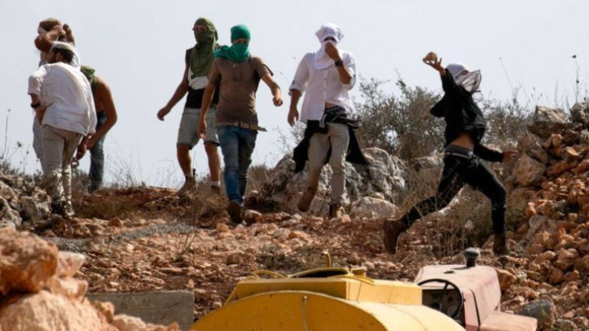 مستوطنون يعتدون على أراضي زراعية