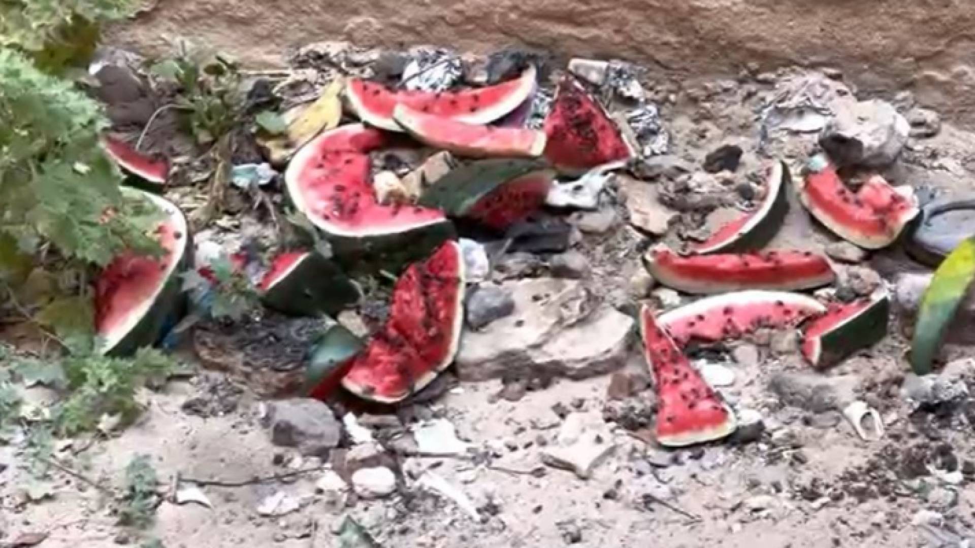 صورة لغياب النظافة في المنطقة